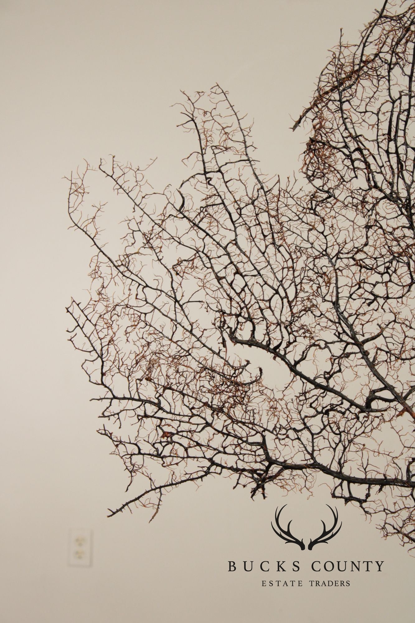 Modern Style Polished Stainless Steel Pedestal With Coral Fan Sculpture