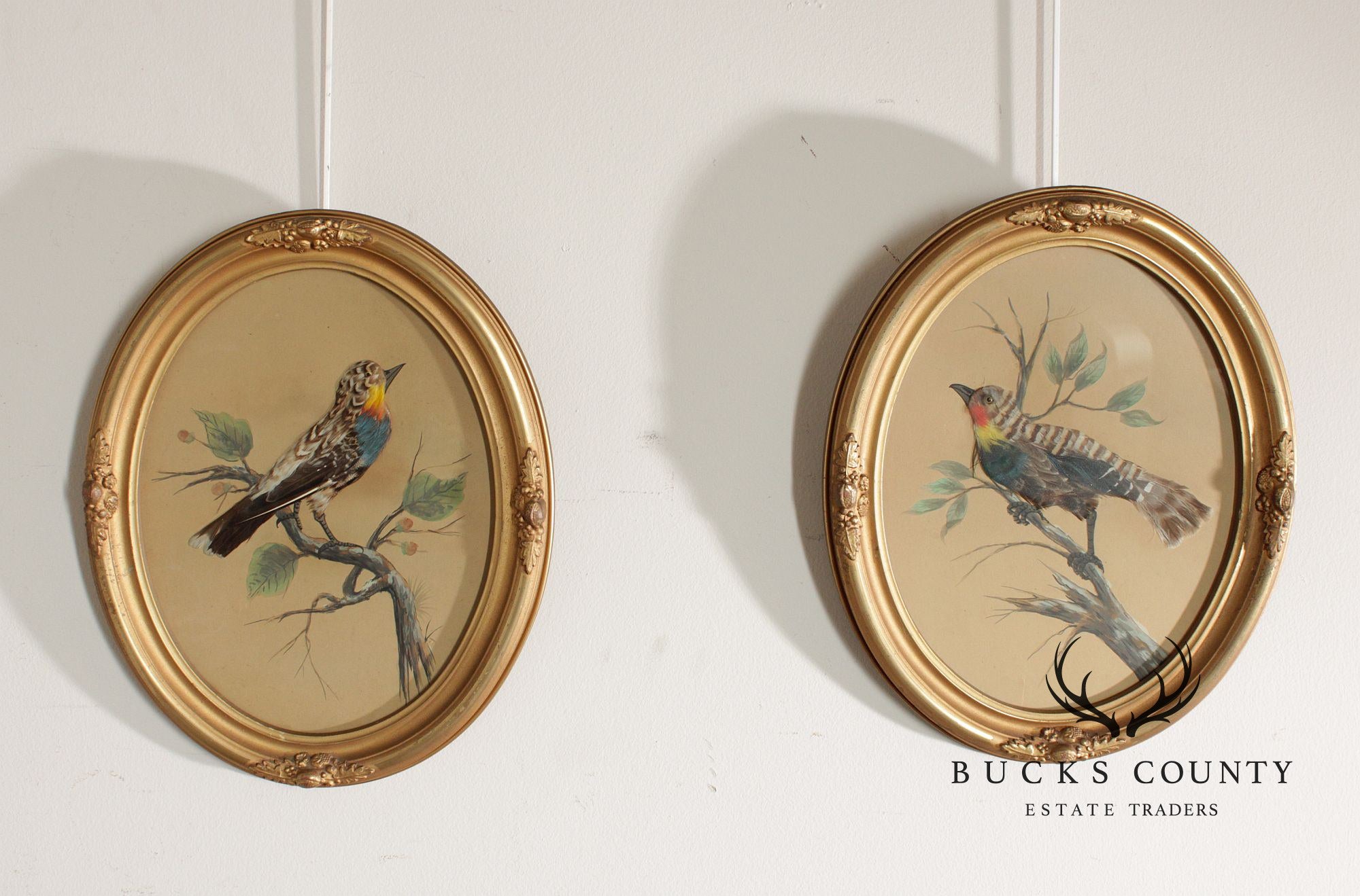 Antique Pair of Feather Art Bird Paintings