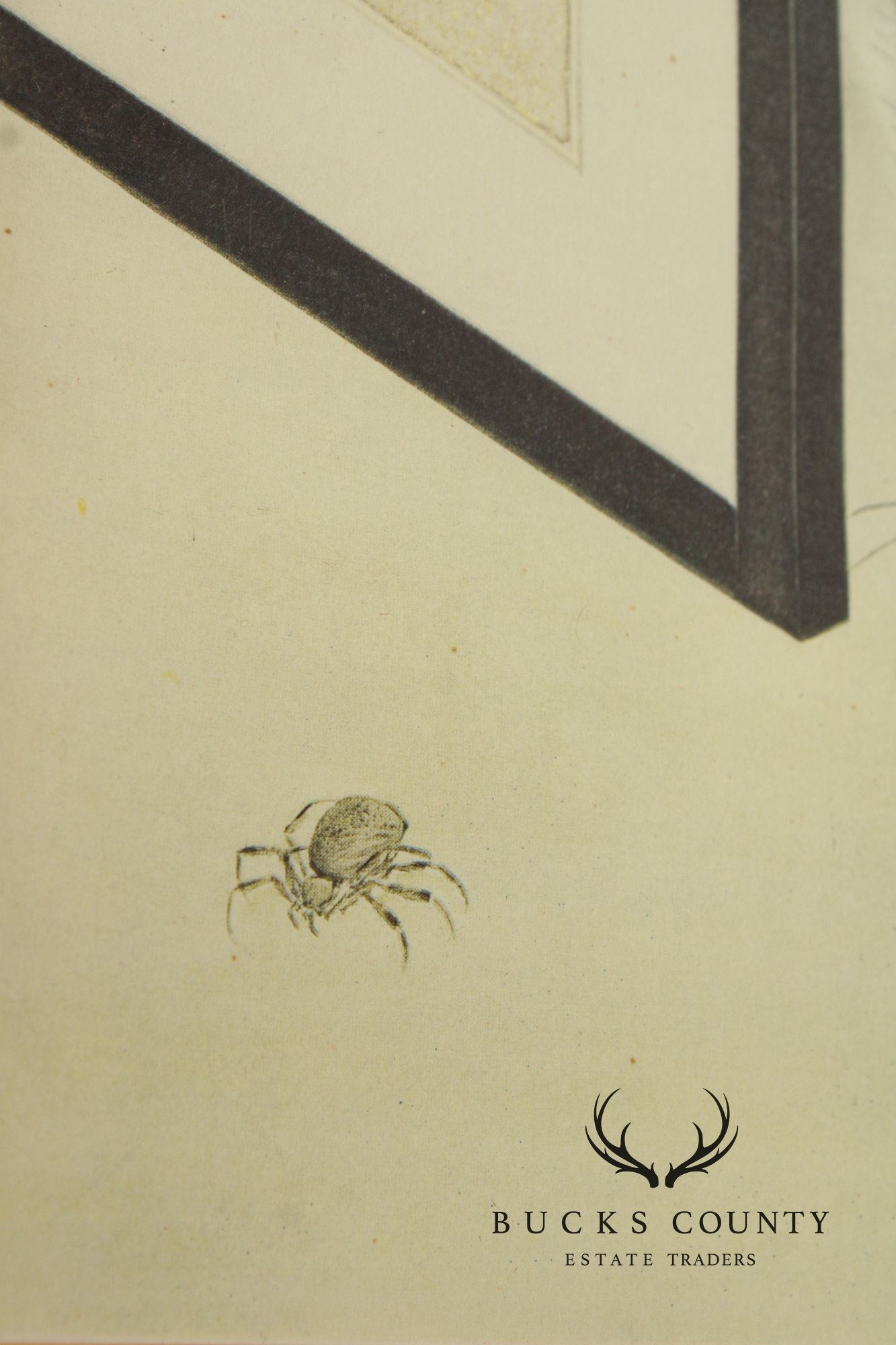 Tsuguharu Foujita Framed Japanese Woodblock Print, Cat and Spider