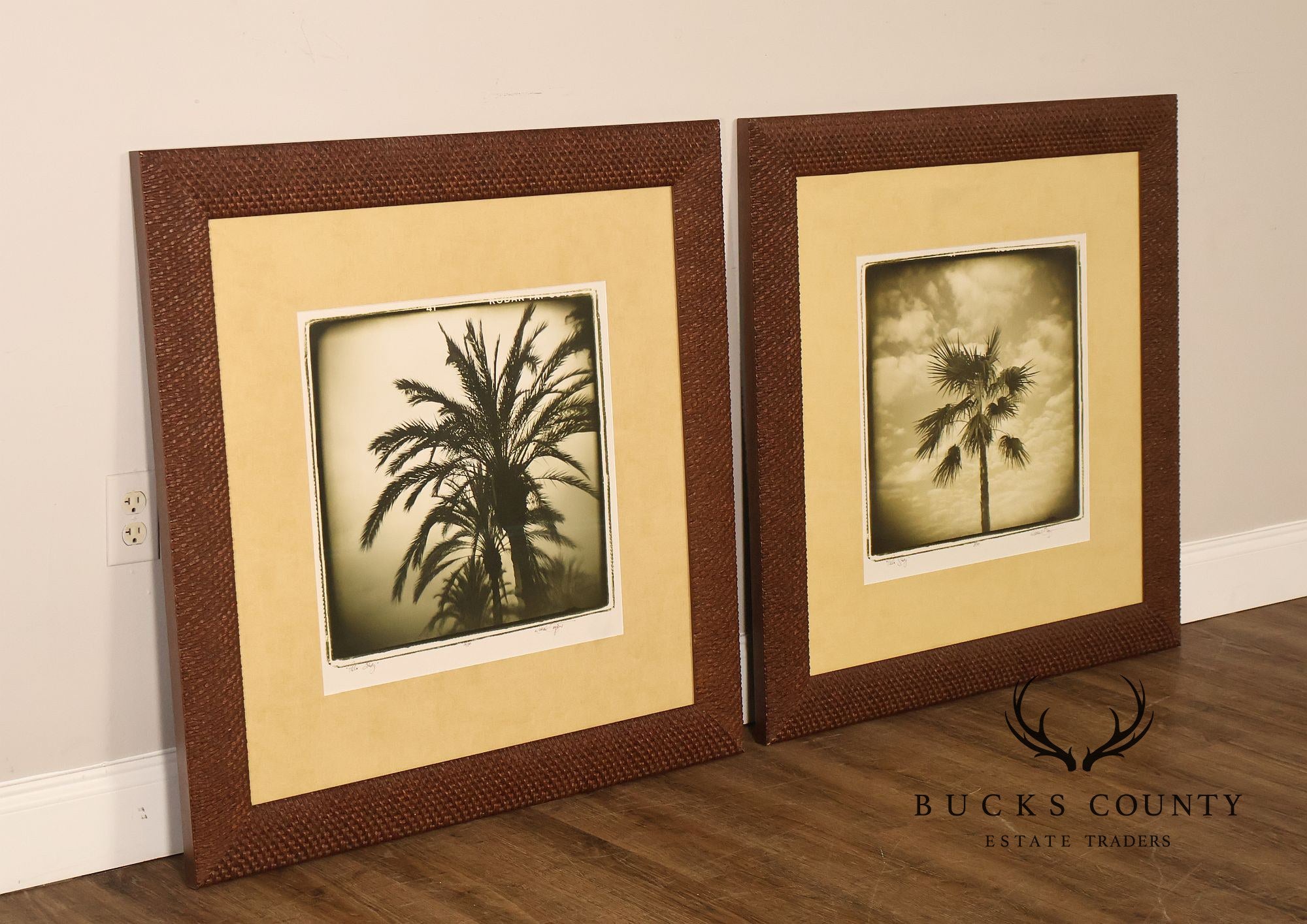 Michael Bryant Pair of Framed Photographs, 'Palm Study'