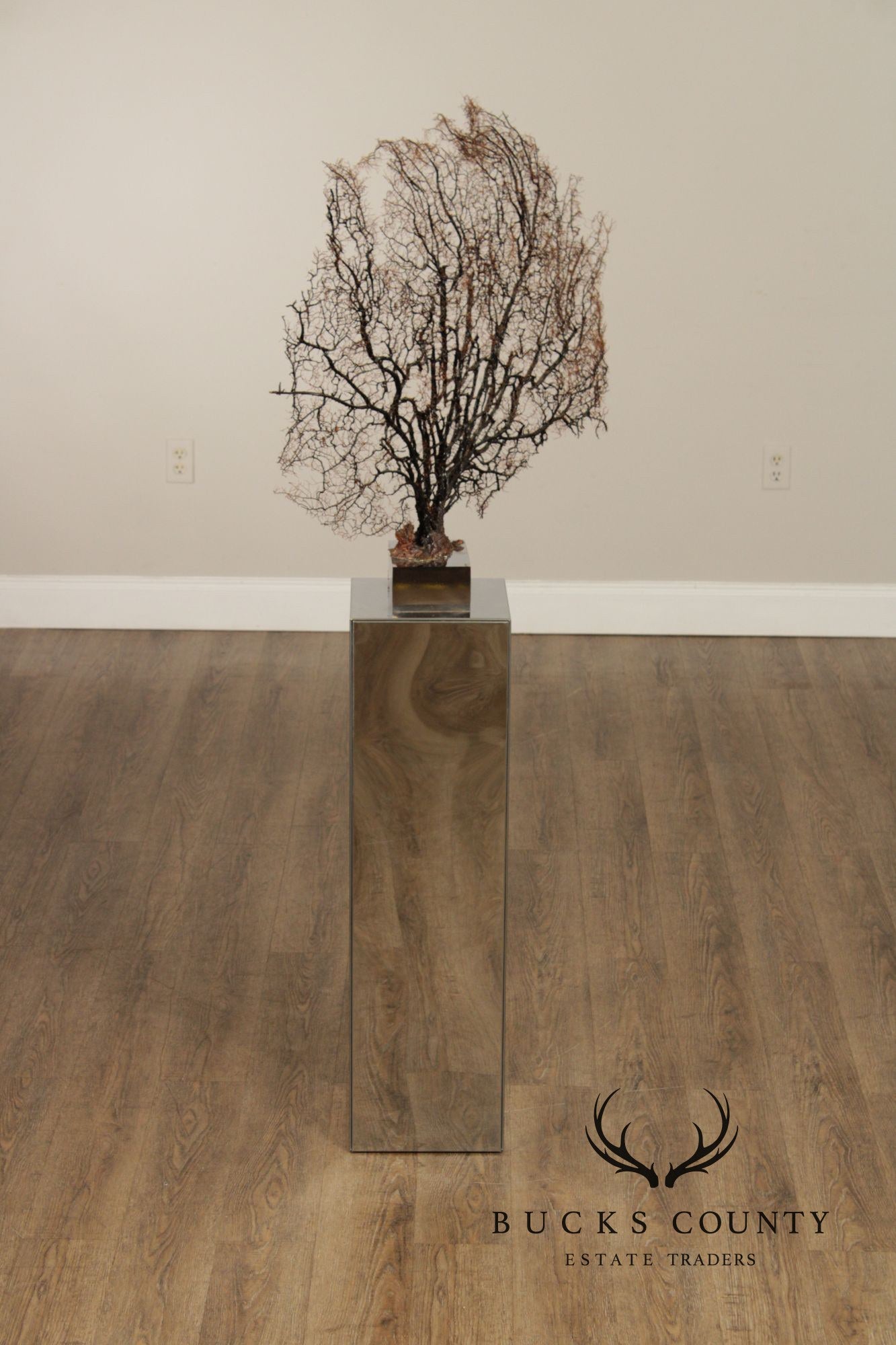 Modern Style Polished Stainless Steel Pedestal With Coral Fan Sculpture