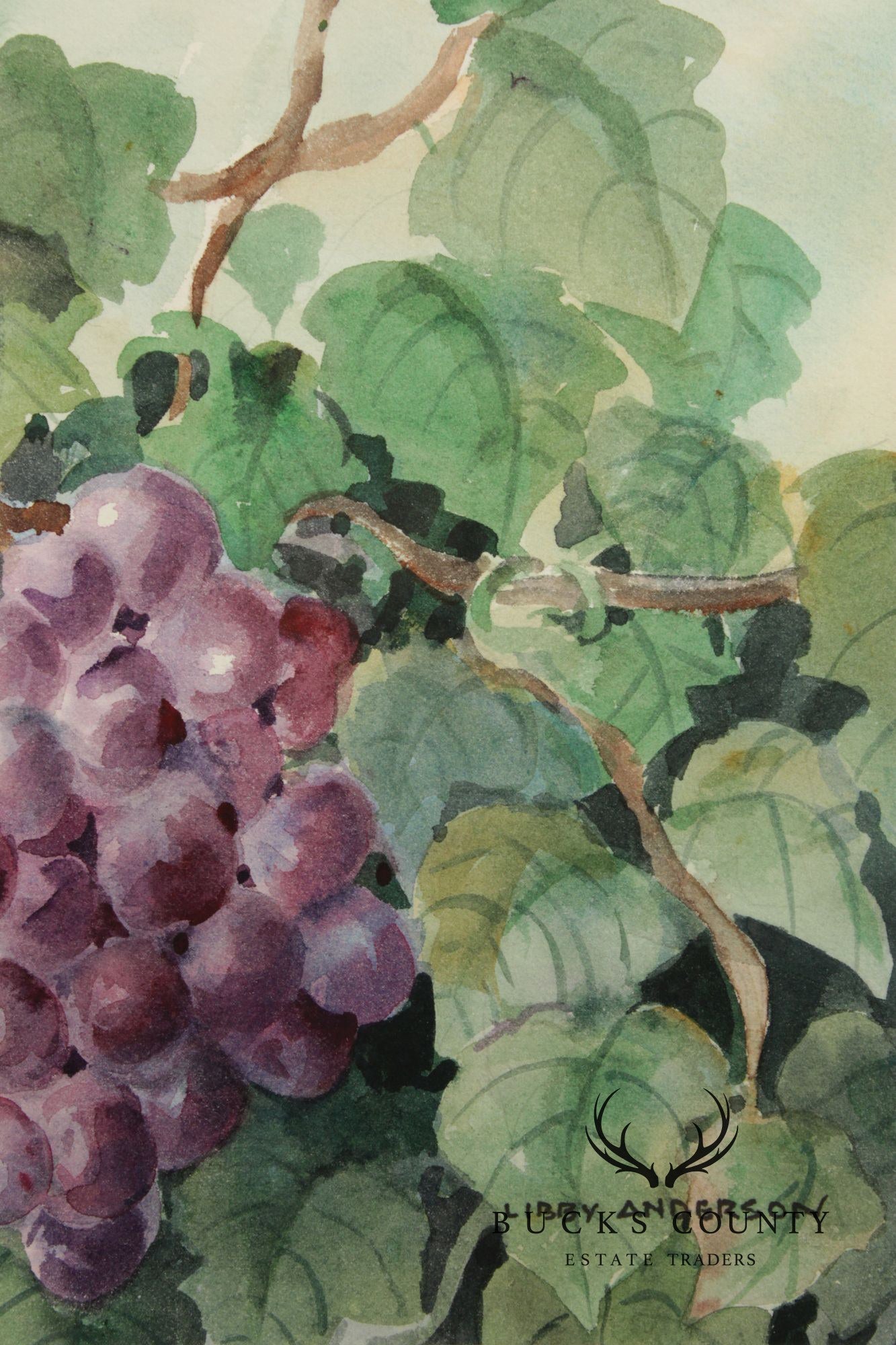 Libby Anderson Watercolor, Still Life of Grapevine