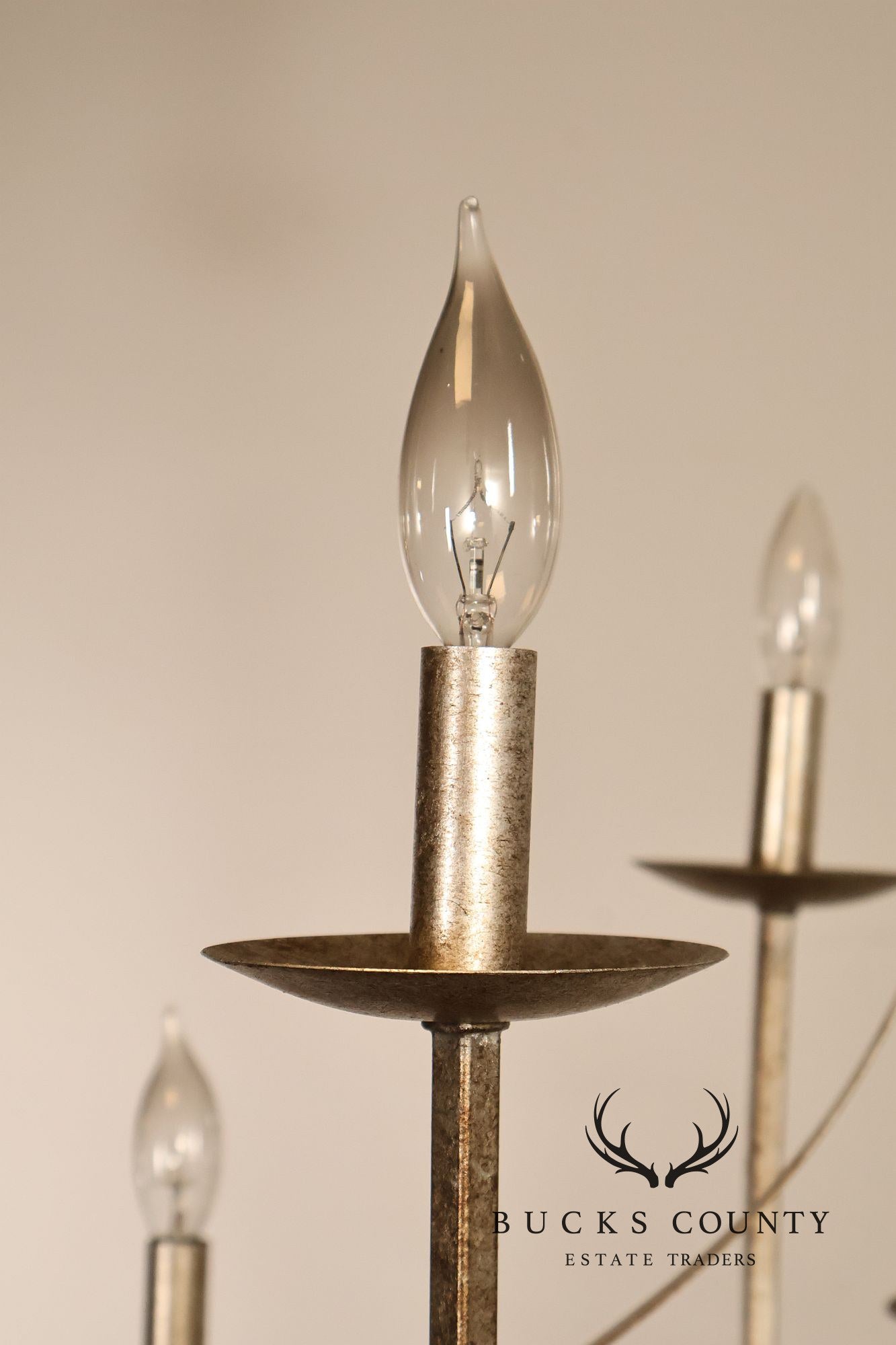 Quoizel 'Serenity' Nine-Light Candelabra Chandelier