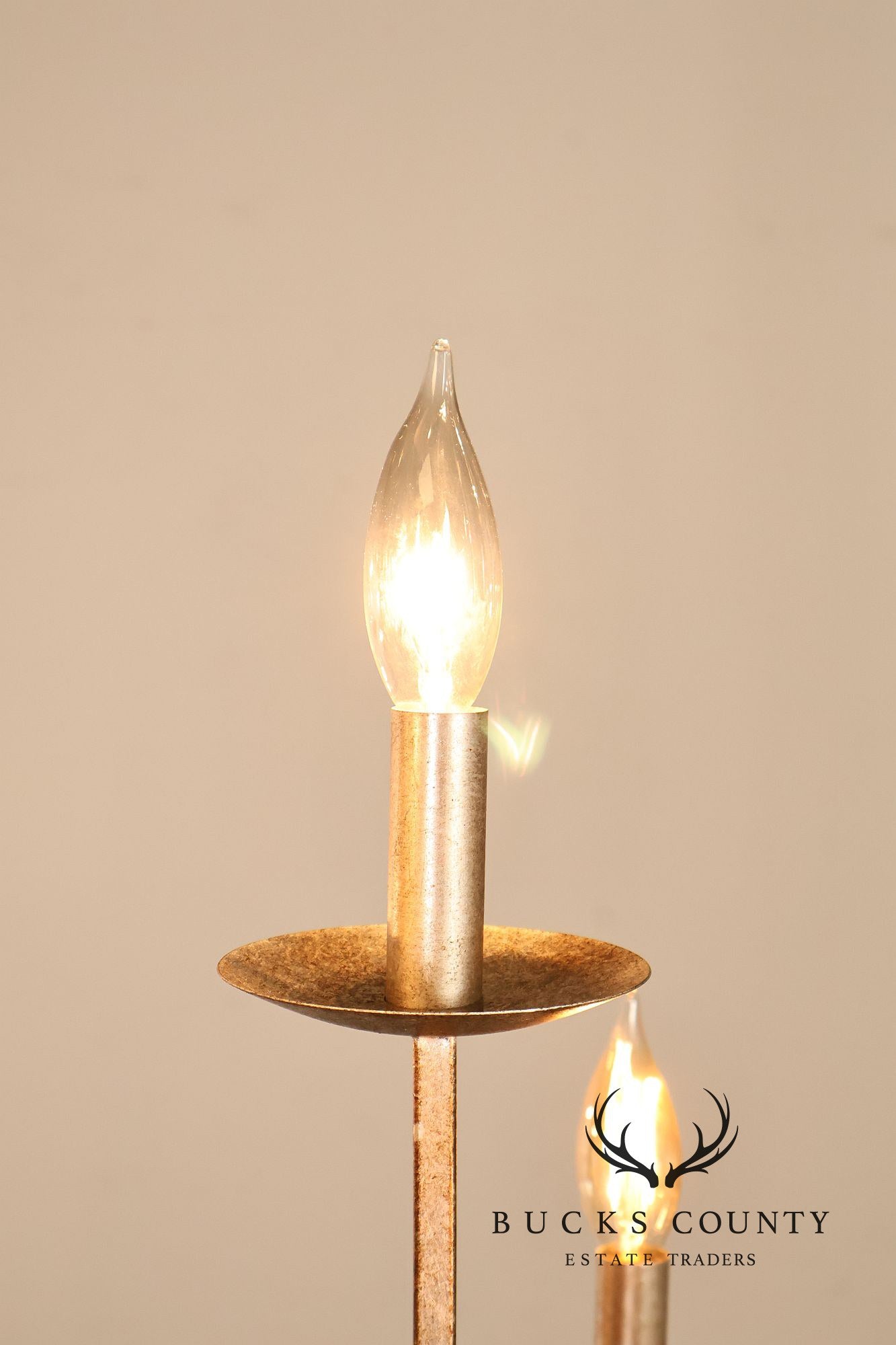 Quoizel 'Serenity' Nine-Light Candelabra Chandelier