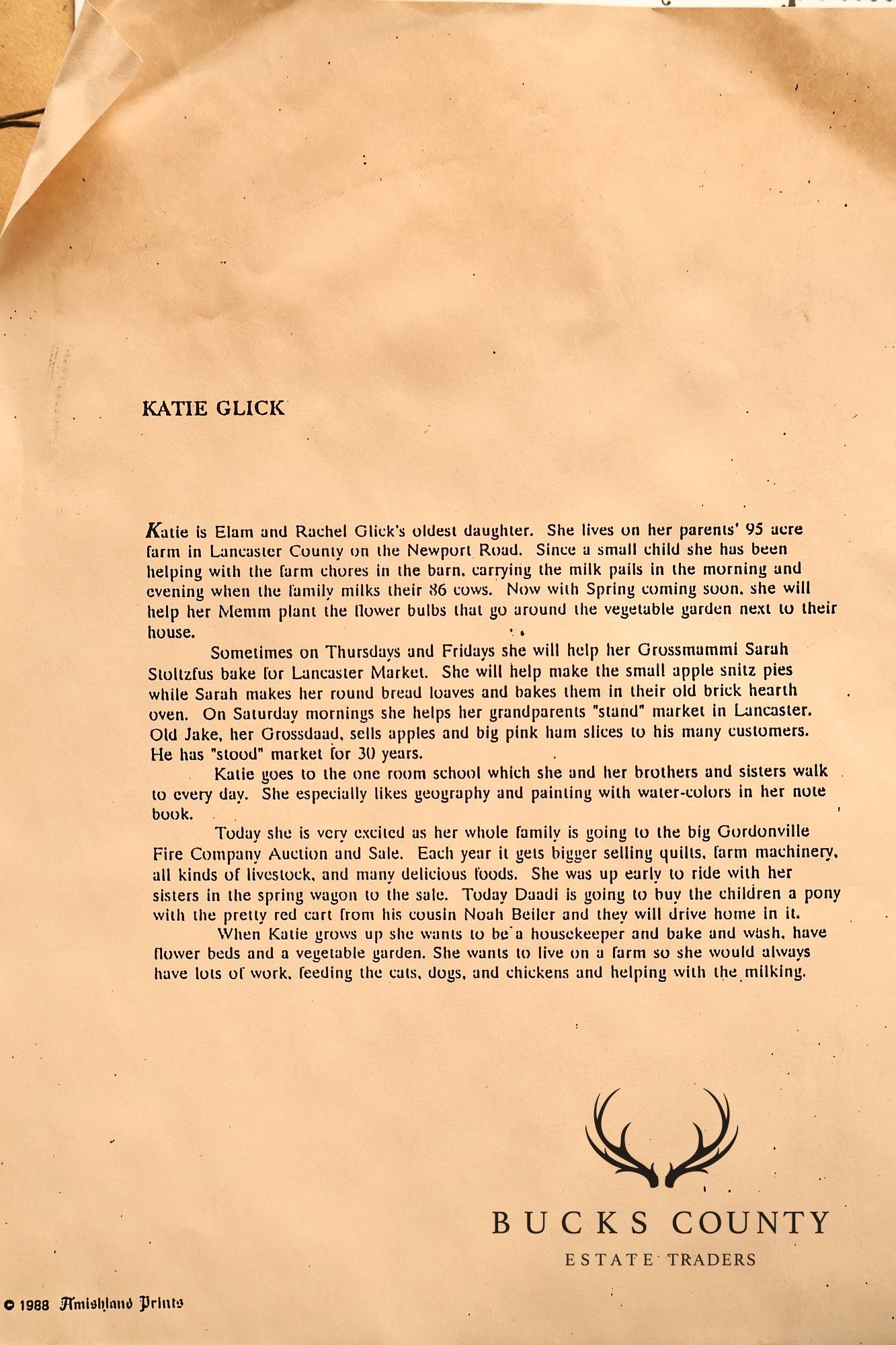 Xtian Newswanger Amish Folk Art Style Print, 'Katie Glick'