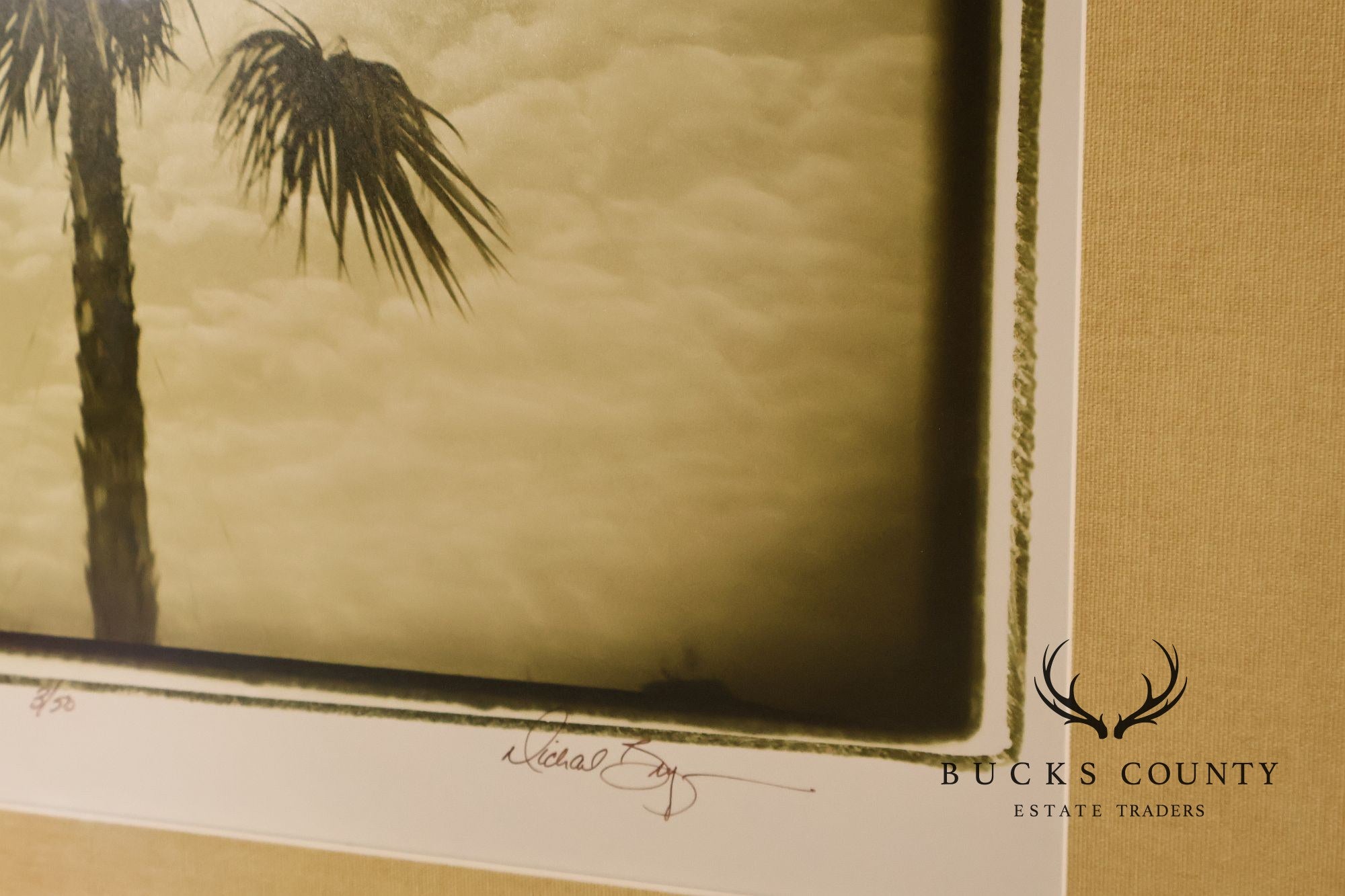 Michael Bryant Pair of Framed Photographs, 'Palm Study'