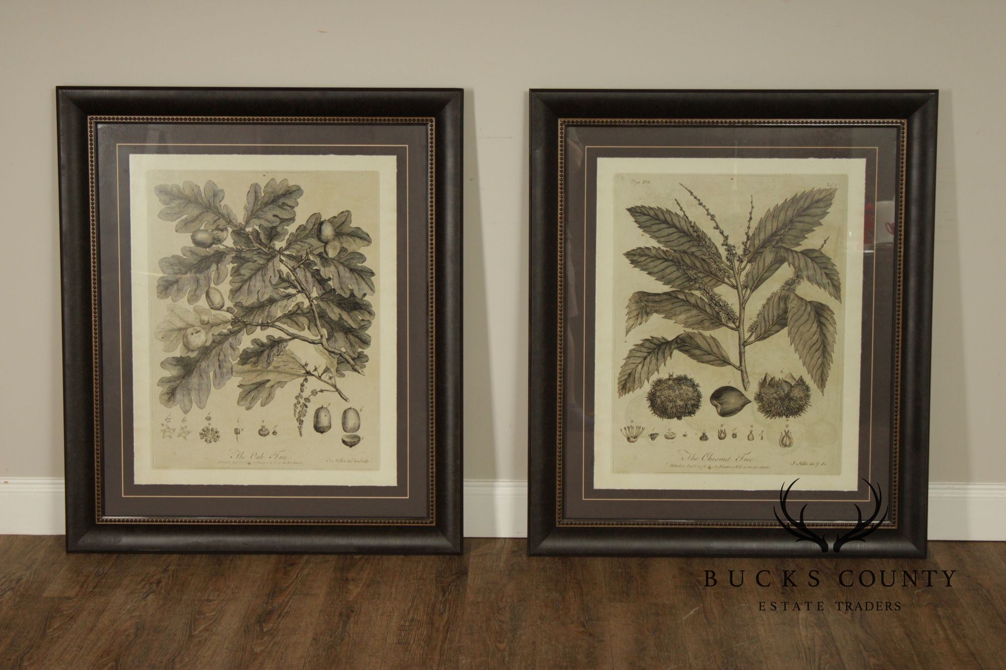 Pair of Botanical Prints, 'The Chestnut Tree' and 'The Oak Tree'