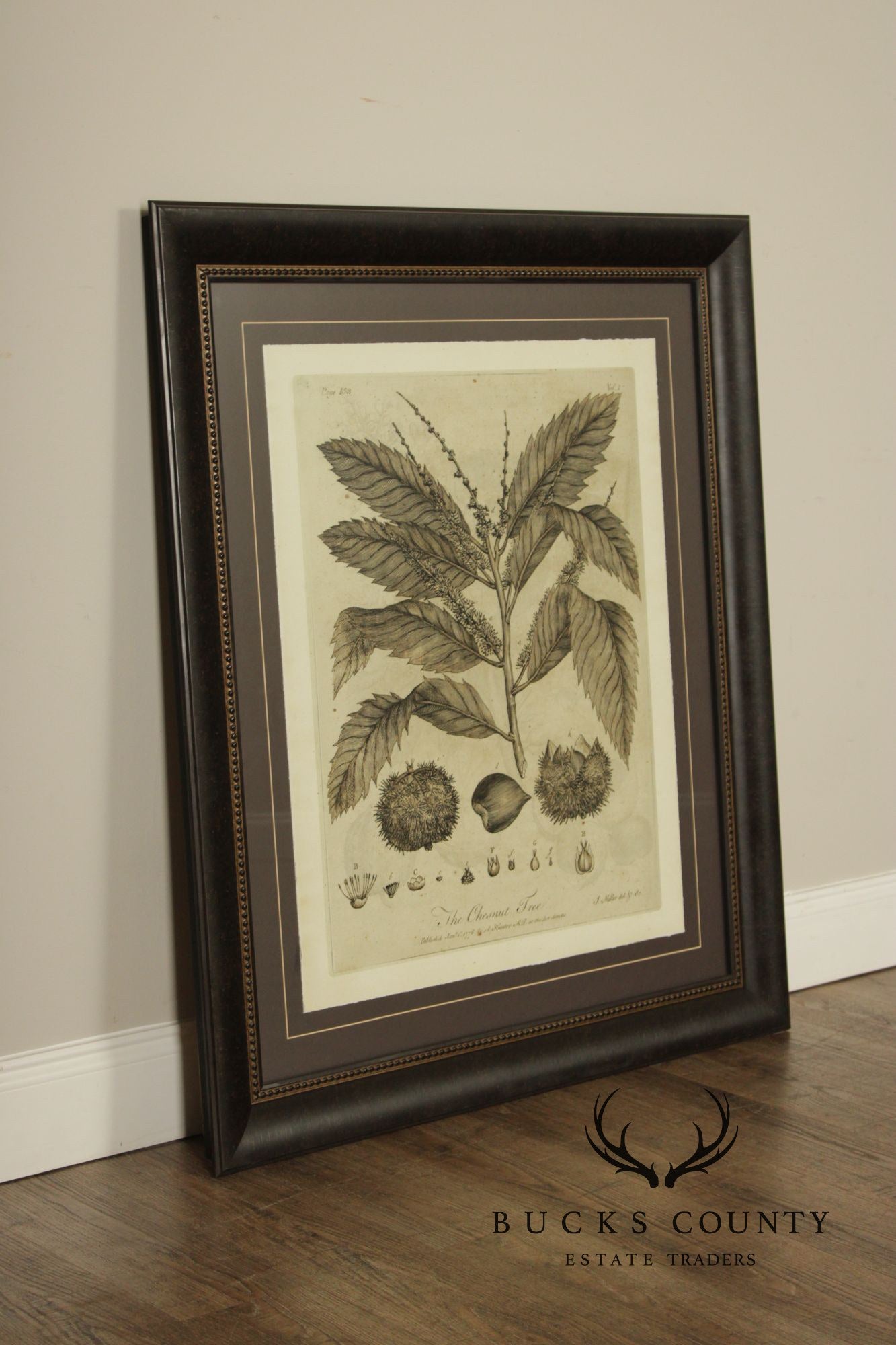 Pair of Botanical Prints, 'The Chestnut Tree' and 'The Oak Tree'