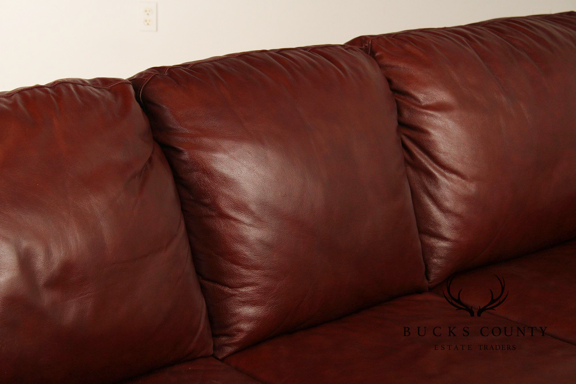 Traditional Leather Rolled Arm Nailhead Trim Sofa