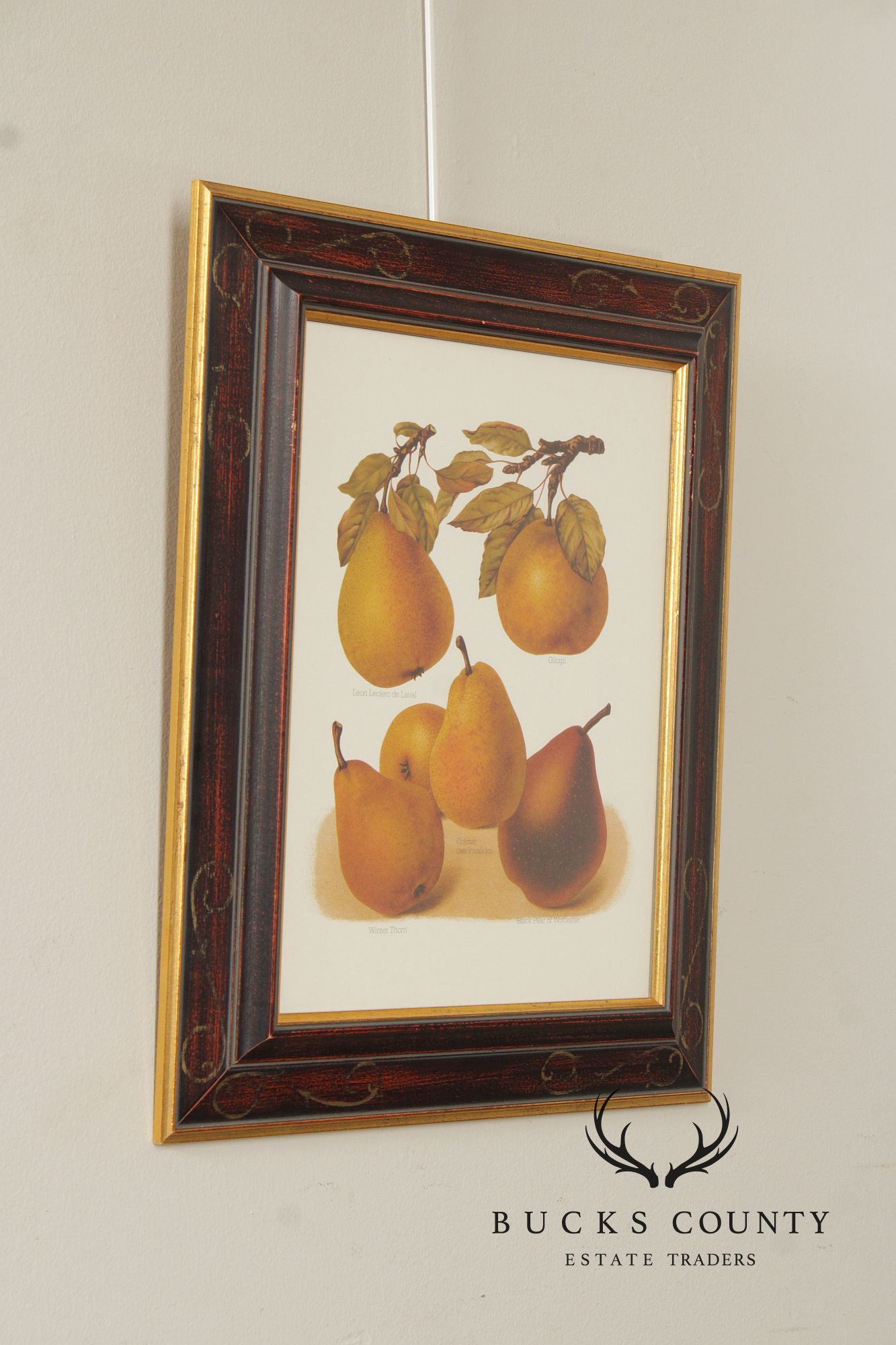 Chelsea House Decorative Pair of Pear Prints