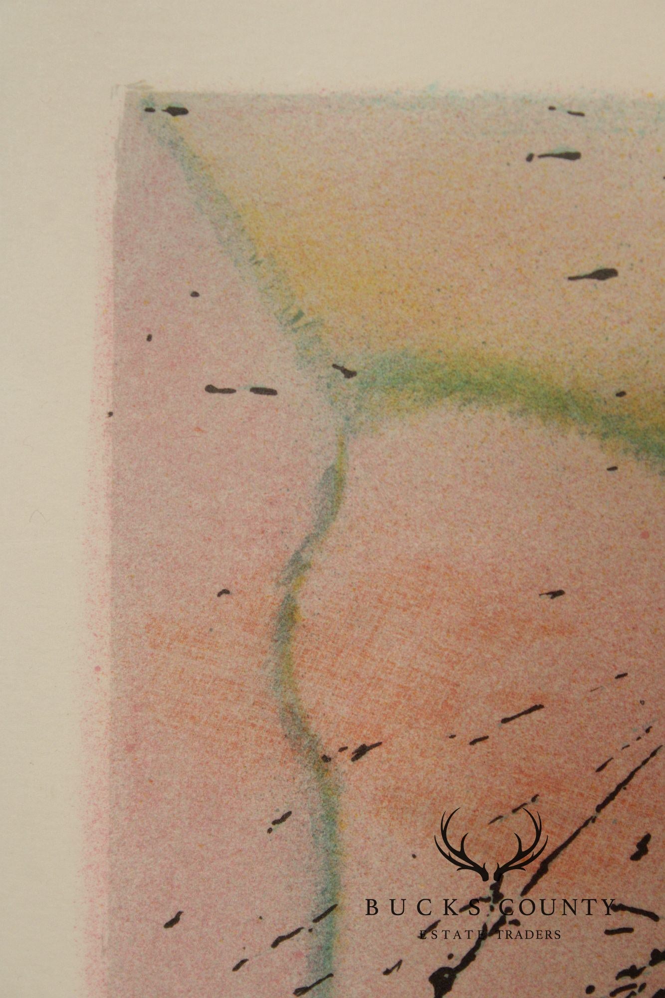 Salvador Dalí Framed Lithograph, 'Cheval De La Mort'