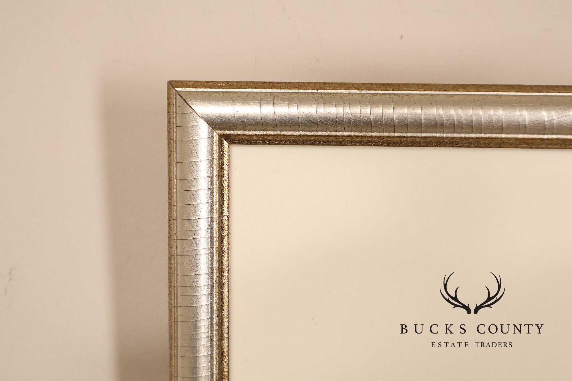 Paul Caponigro Original Print, 'Standing White Deer, County Wicklow, Ireland'