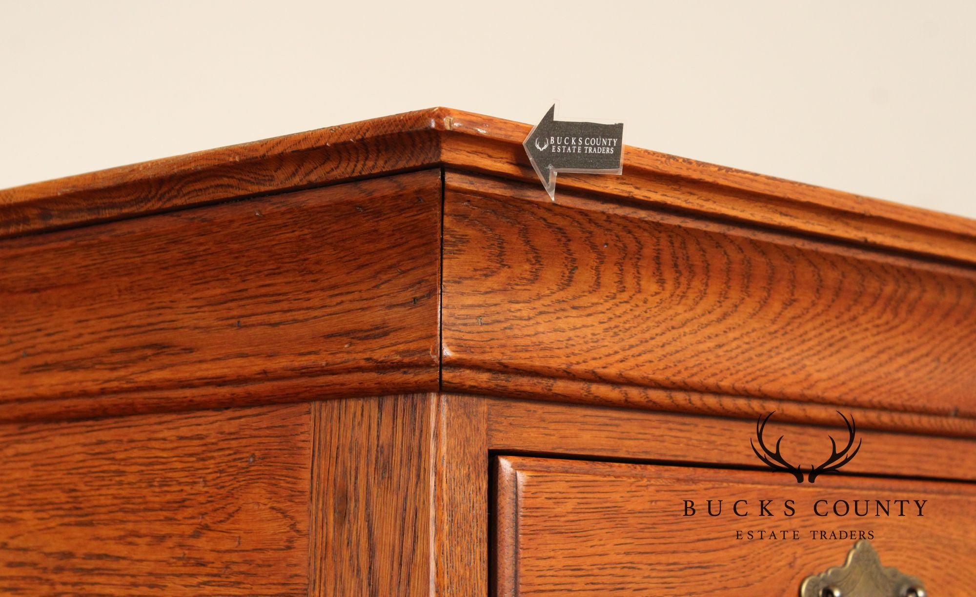 Lineage Chippendale Style Oak Door Chest