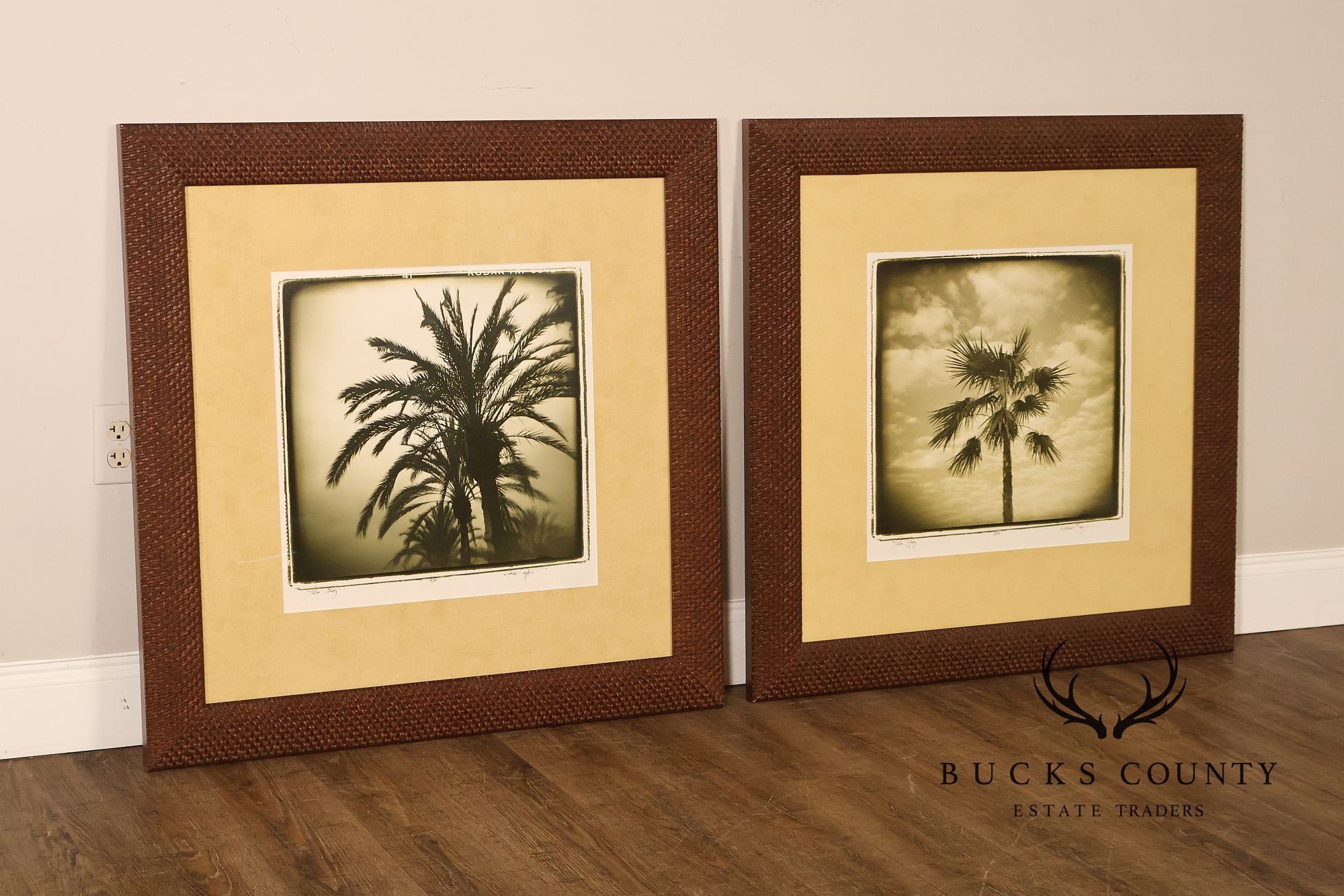 Michael Bryant Pair of Framed Photographs, 'Palm Study'