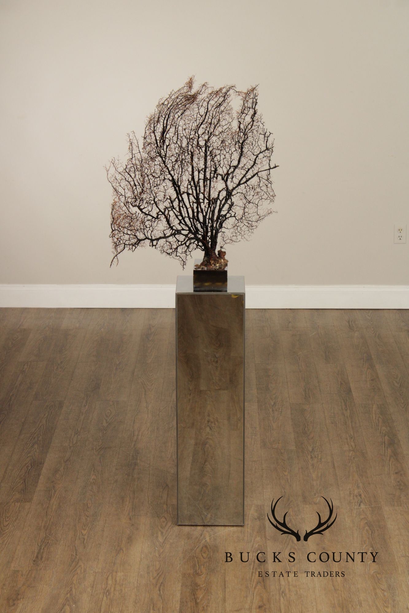 Modern Style Polished Stainless Steel Pedestal With Coral Fan Sculpture