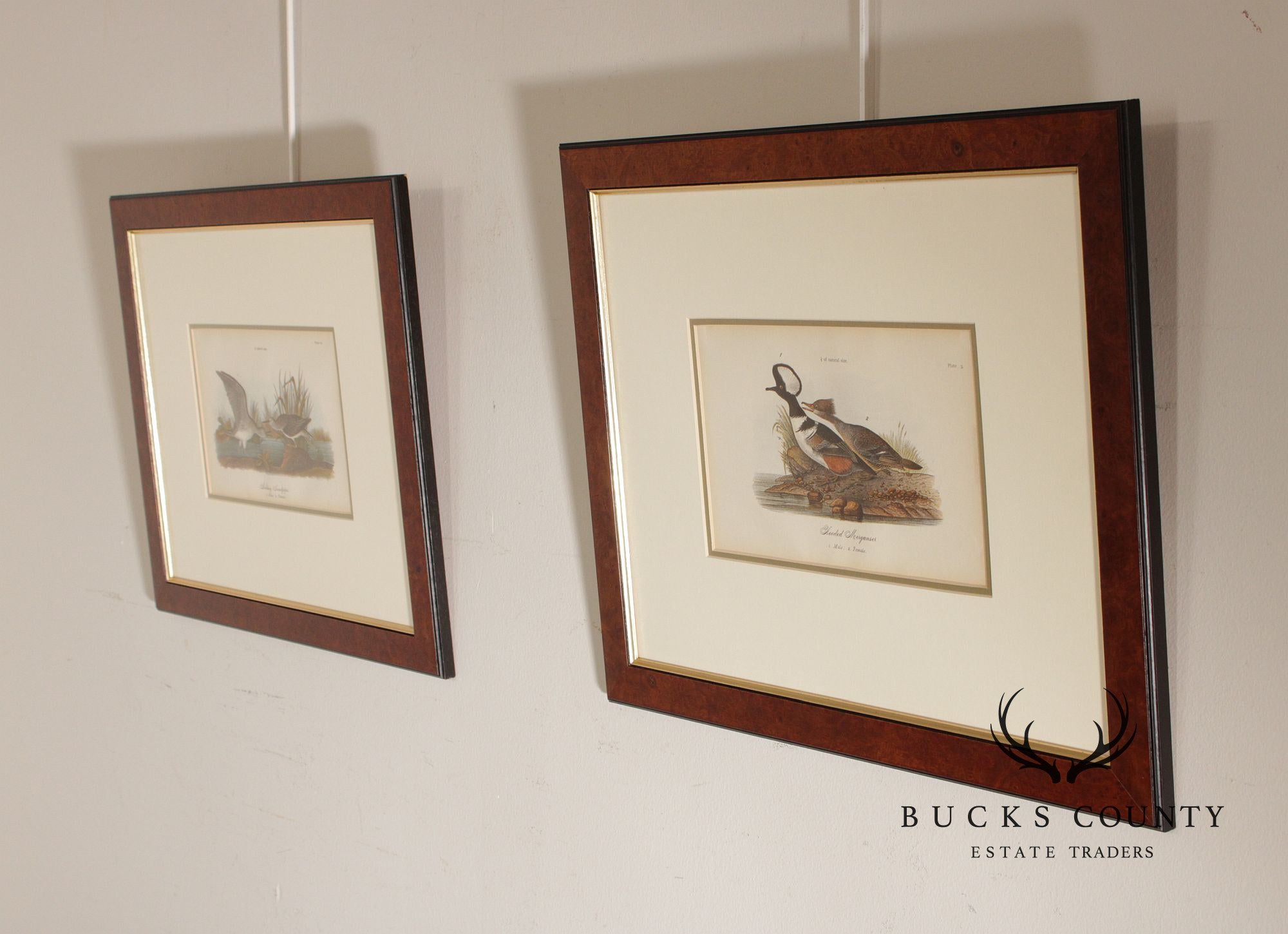 Pair of Ornithological Prints from 'Report on the Birds of Pennsylvania'