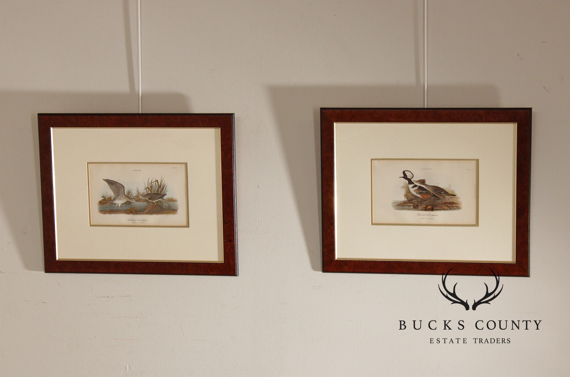 Pair of Ornithological Prints from 'Report on the Birds of Pennsylvania'