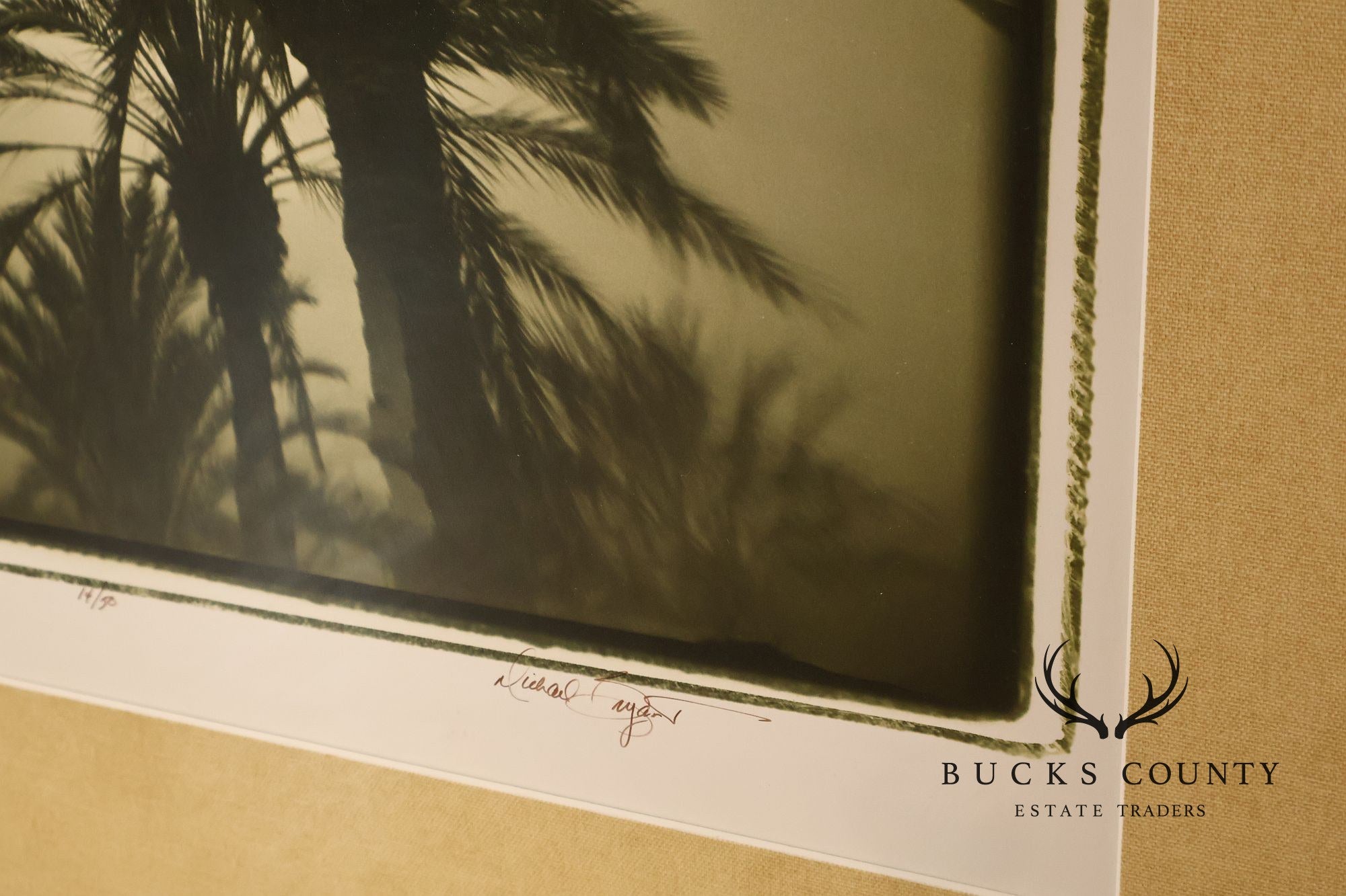 Michael Bryant Pair of Framed Photographs, 'Palm Study'