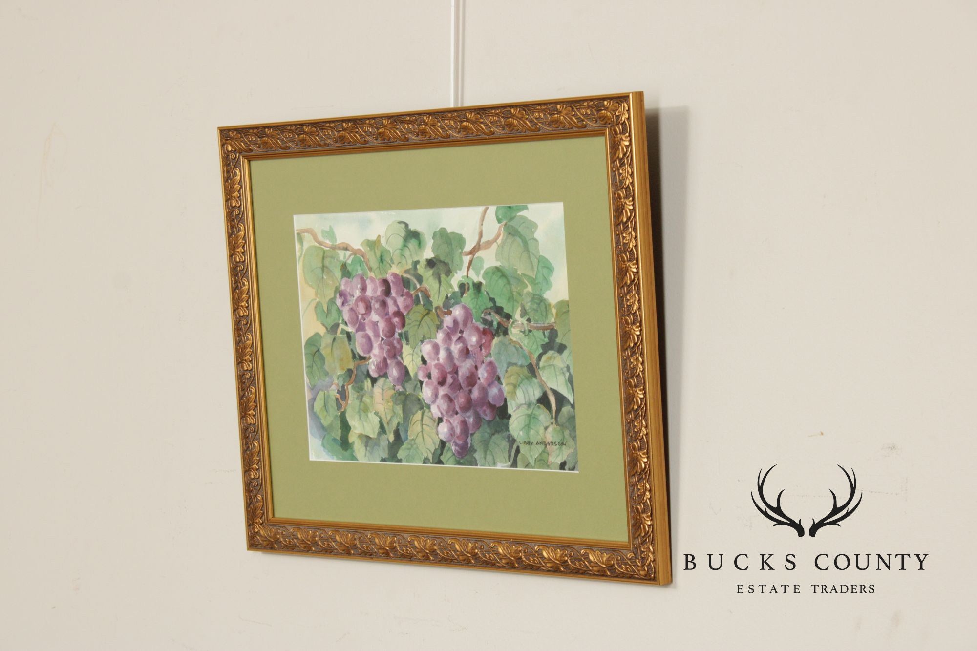 Libby Anderson Watercolor, Still Life of Grapevine