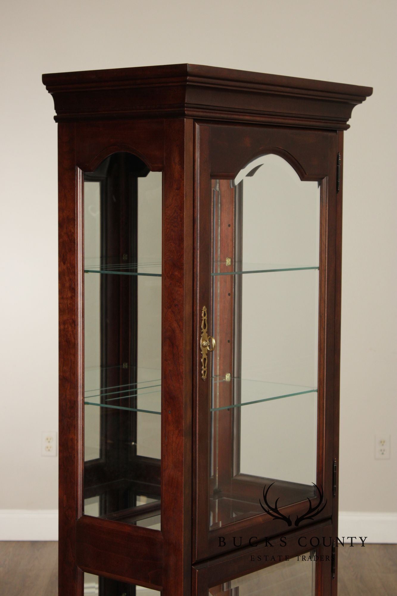 Jasper Traditional Cherry and Beveled Glass Display Cabinet