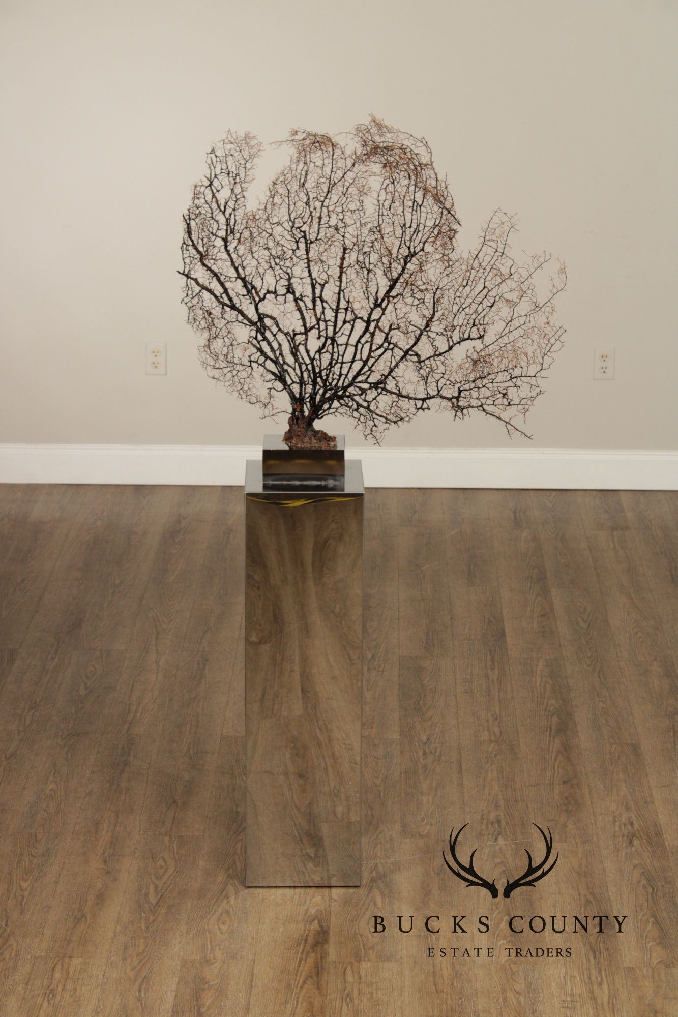 Modern Style Polished Stainless Steel Pedestal With Coral Fan Sculpture