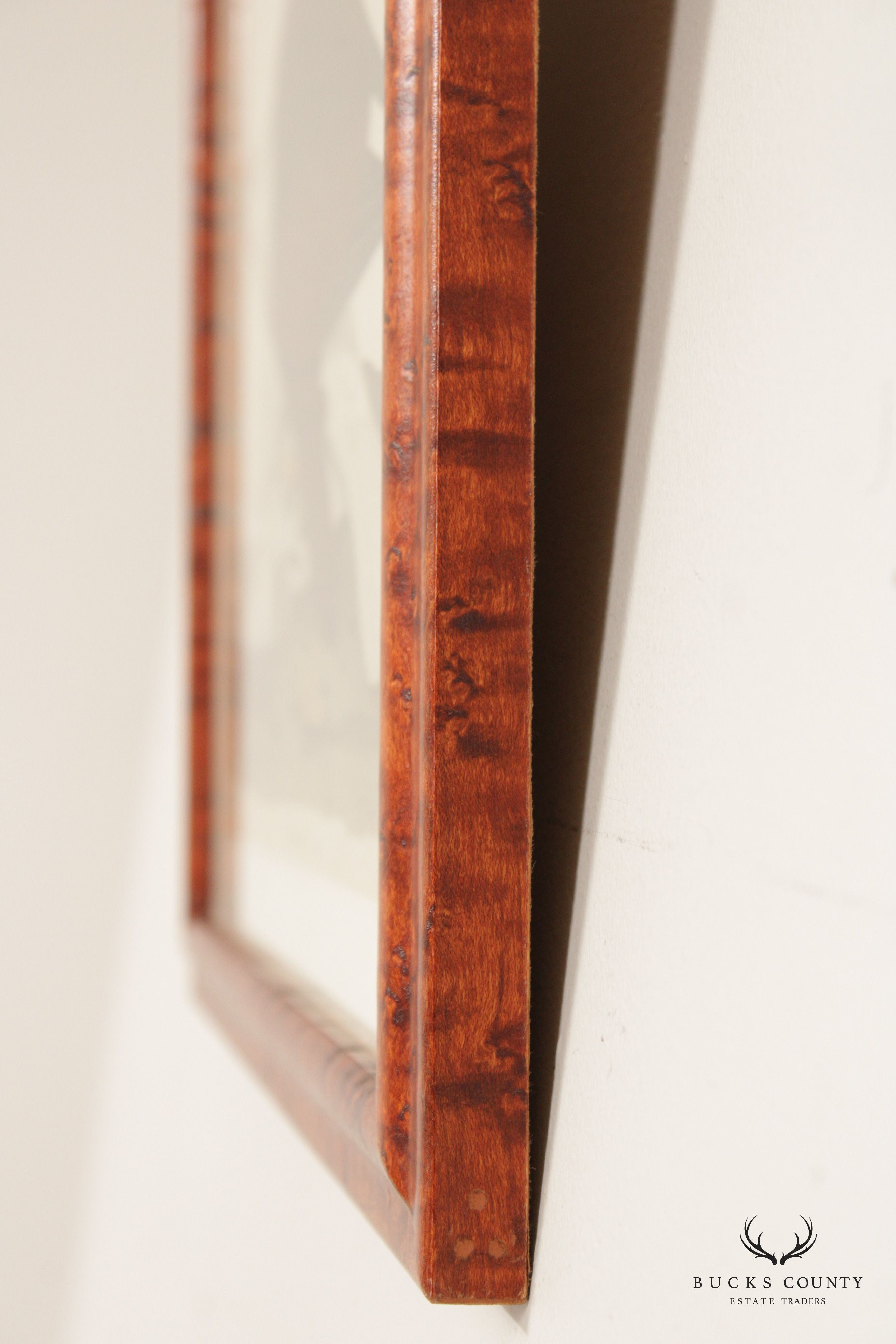 Alexander Lawson 'White-Headed Eagle' Hand Colored Engraving