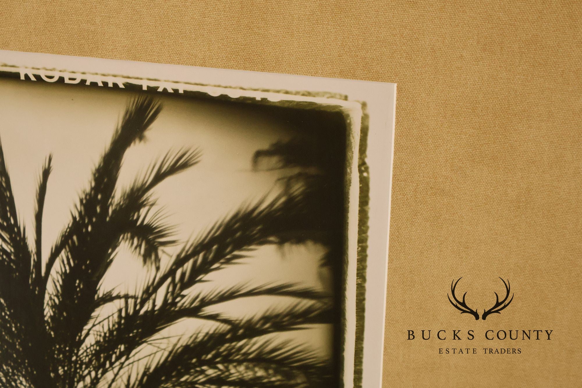 Michael Bryant Pair of Framed Photographs, 'Palm Study'