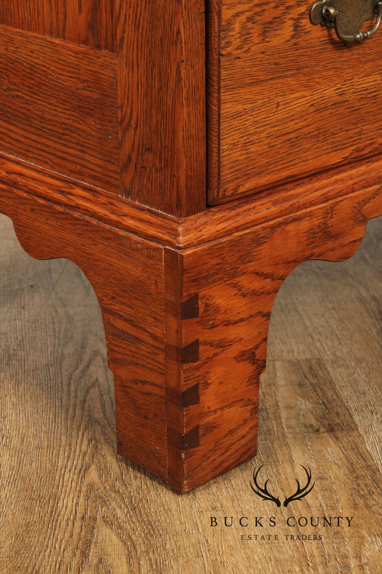 Lineage Chippendale Style Oak Door Chest