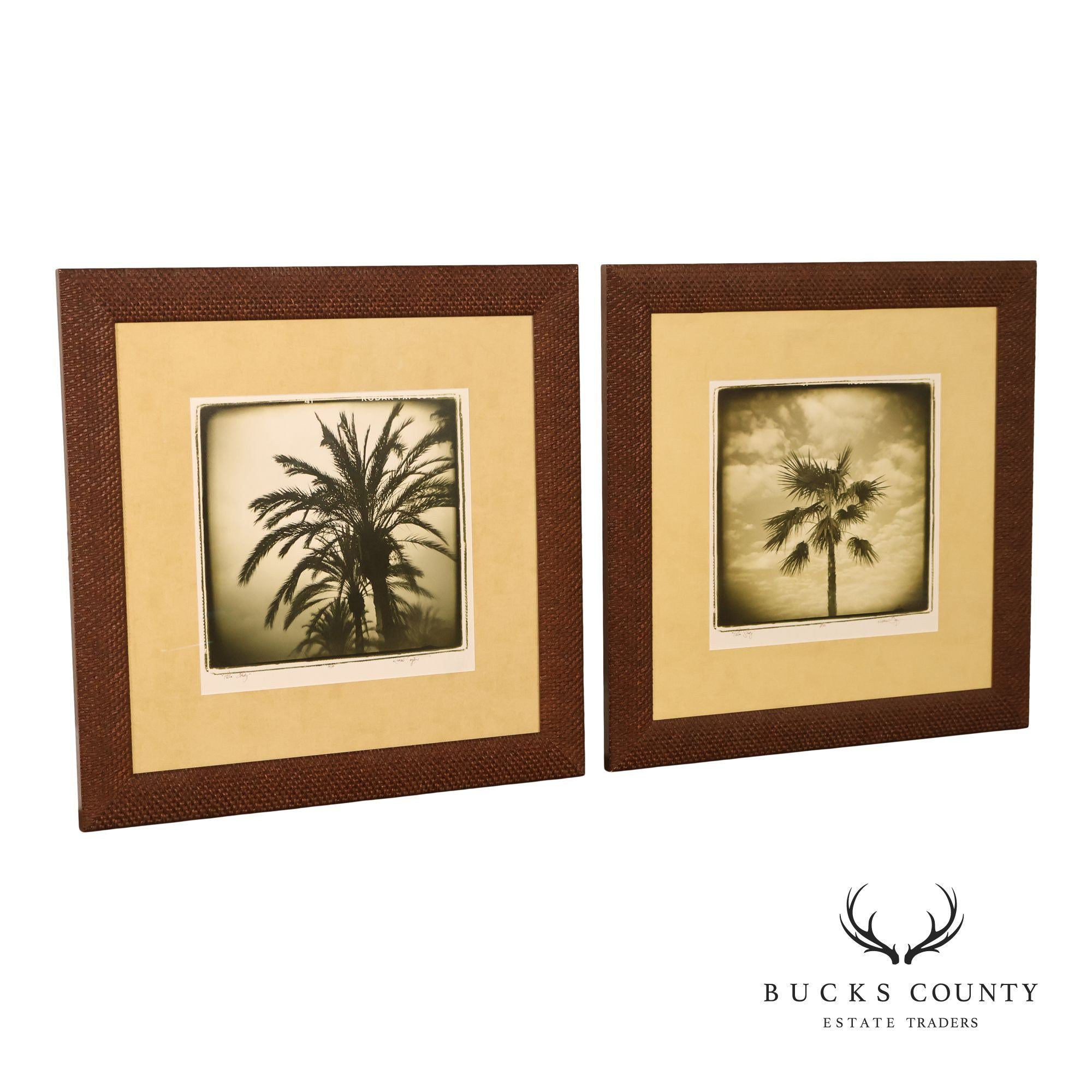Michael Bryant Pair of Framed Photographs, 'Palm Study'