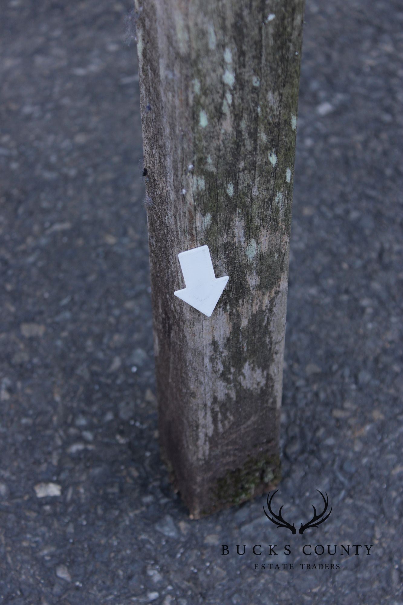 Gloster Outdoor Teak Bench