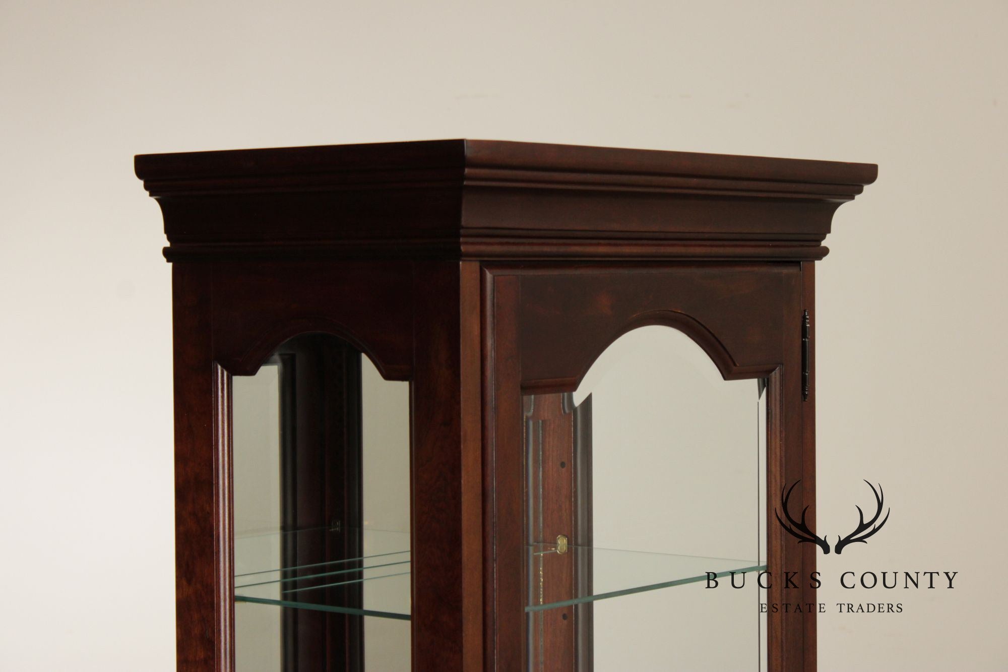 Jasper Traditional Cherry and Beveled Glass Display Cabinet