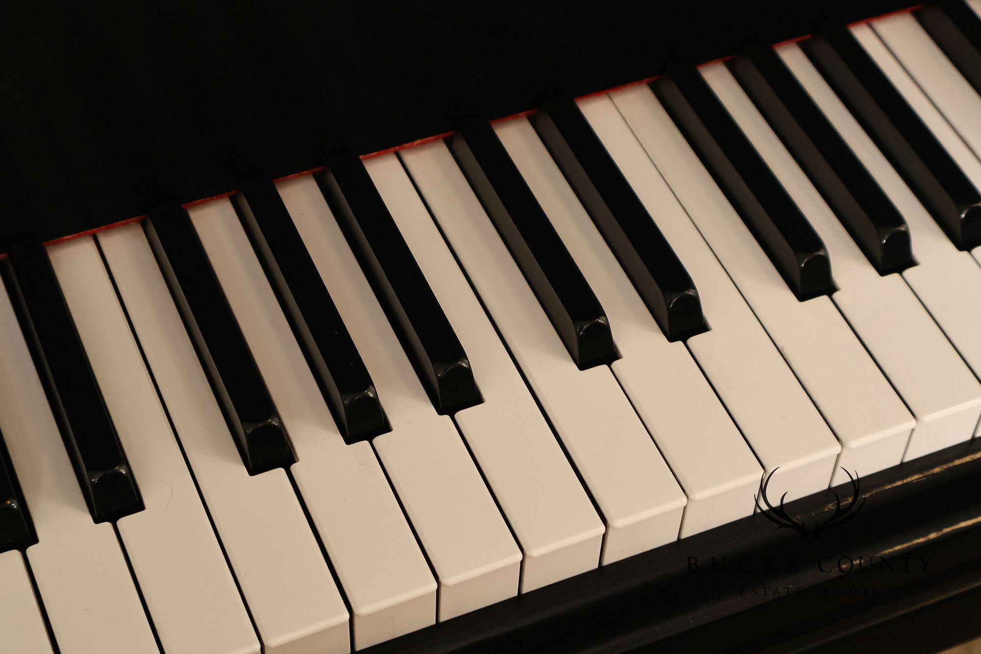Kurtzman Ebonized Grand Piano And Duet Bench