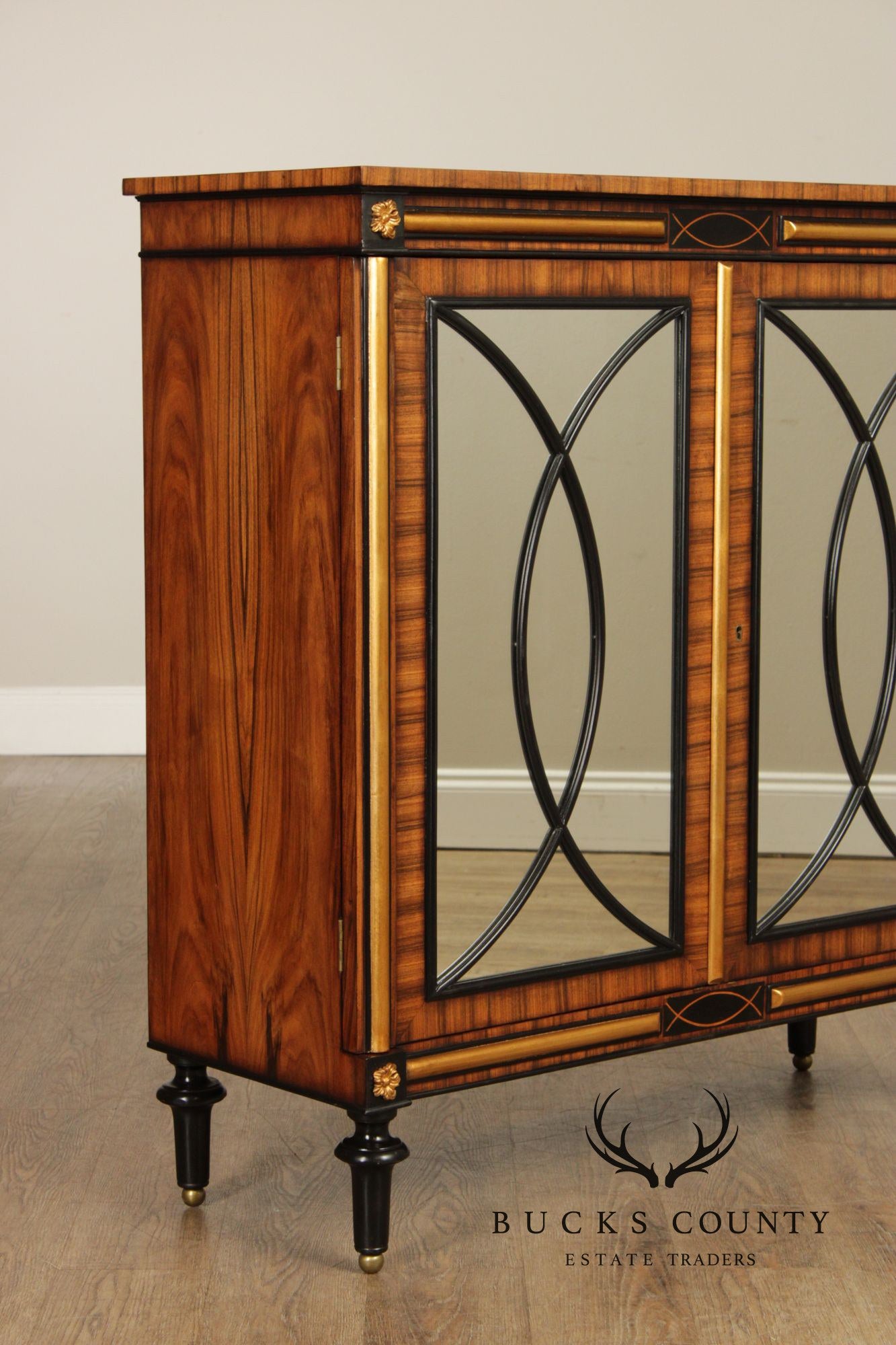 Regency Style Rosewood Mirrored Two Door Cabinet