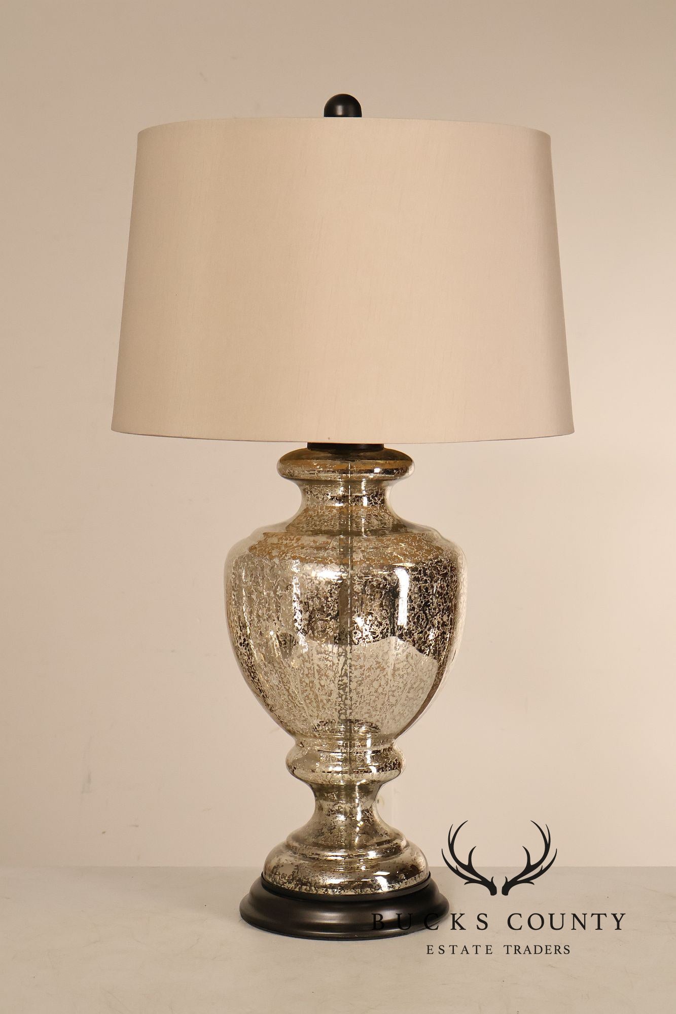 Contemporary Mercury Glass Table Lamp