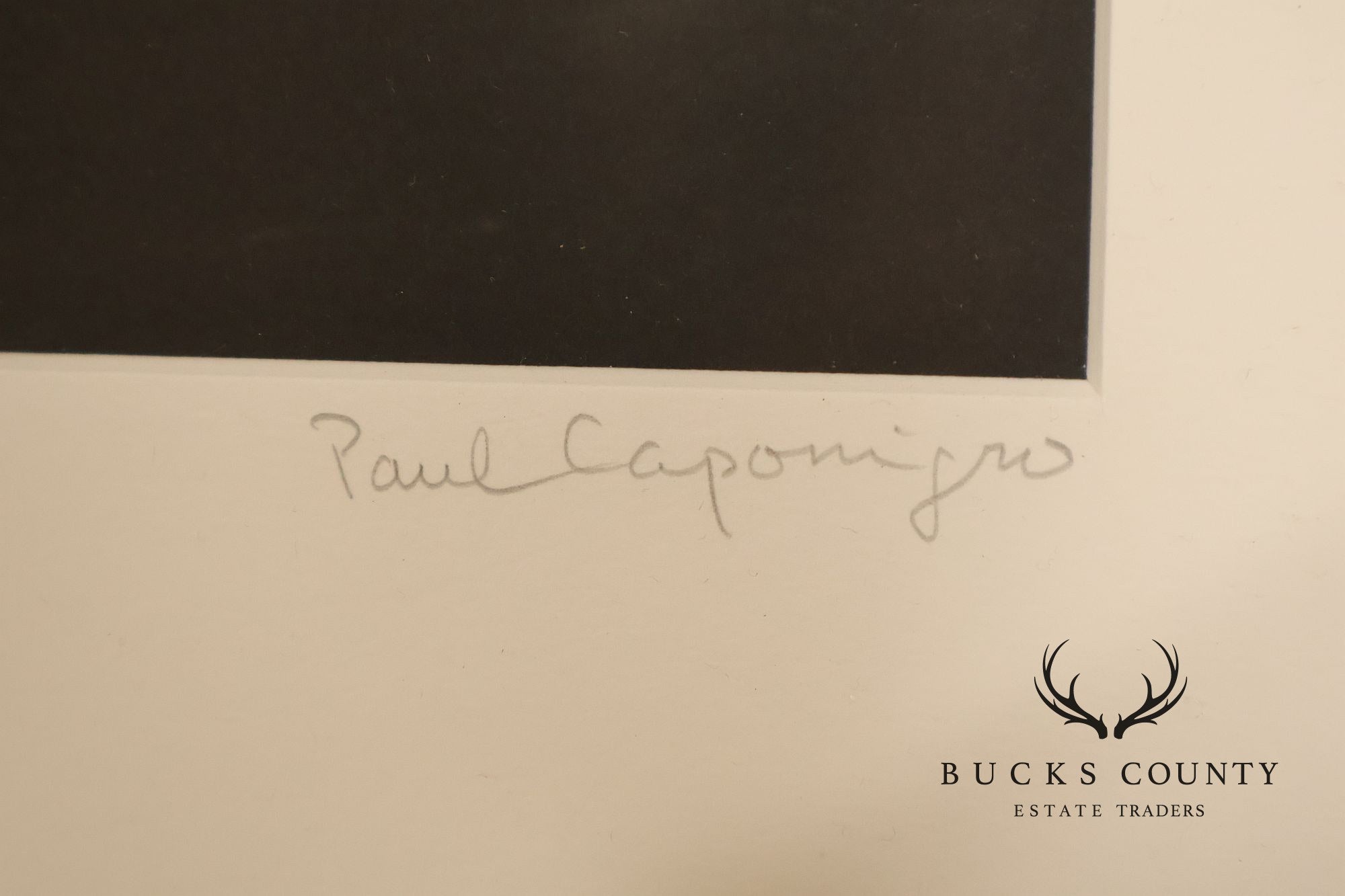 Paul Caponigro Original Print, 'Standing White Deer, County Wicklow, Ireland'