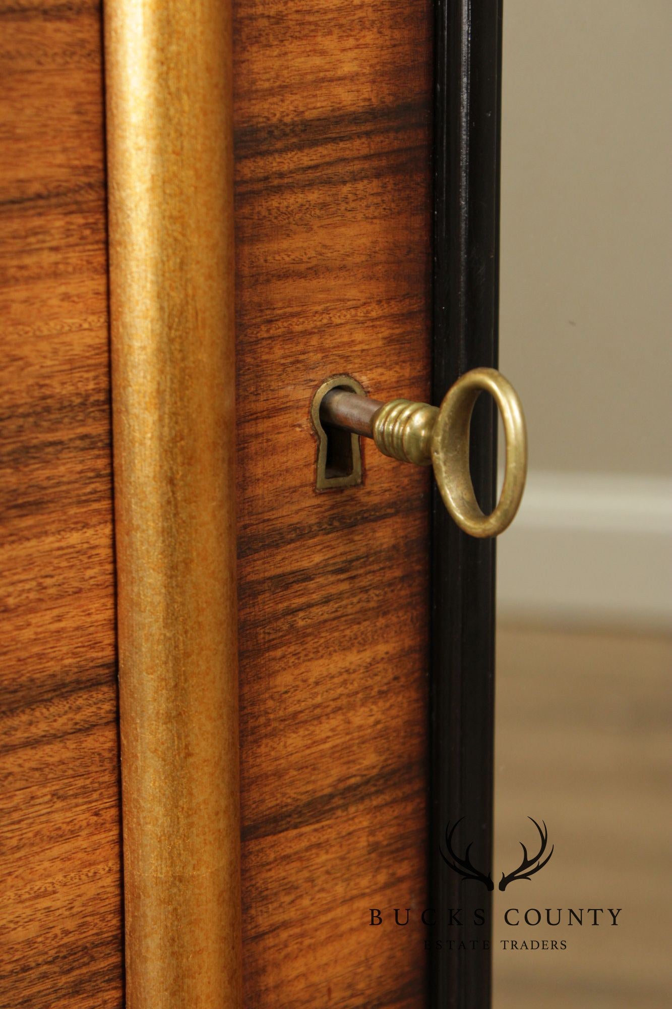 Regency Style Rosewood Mirrored Two Door Cabinet
