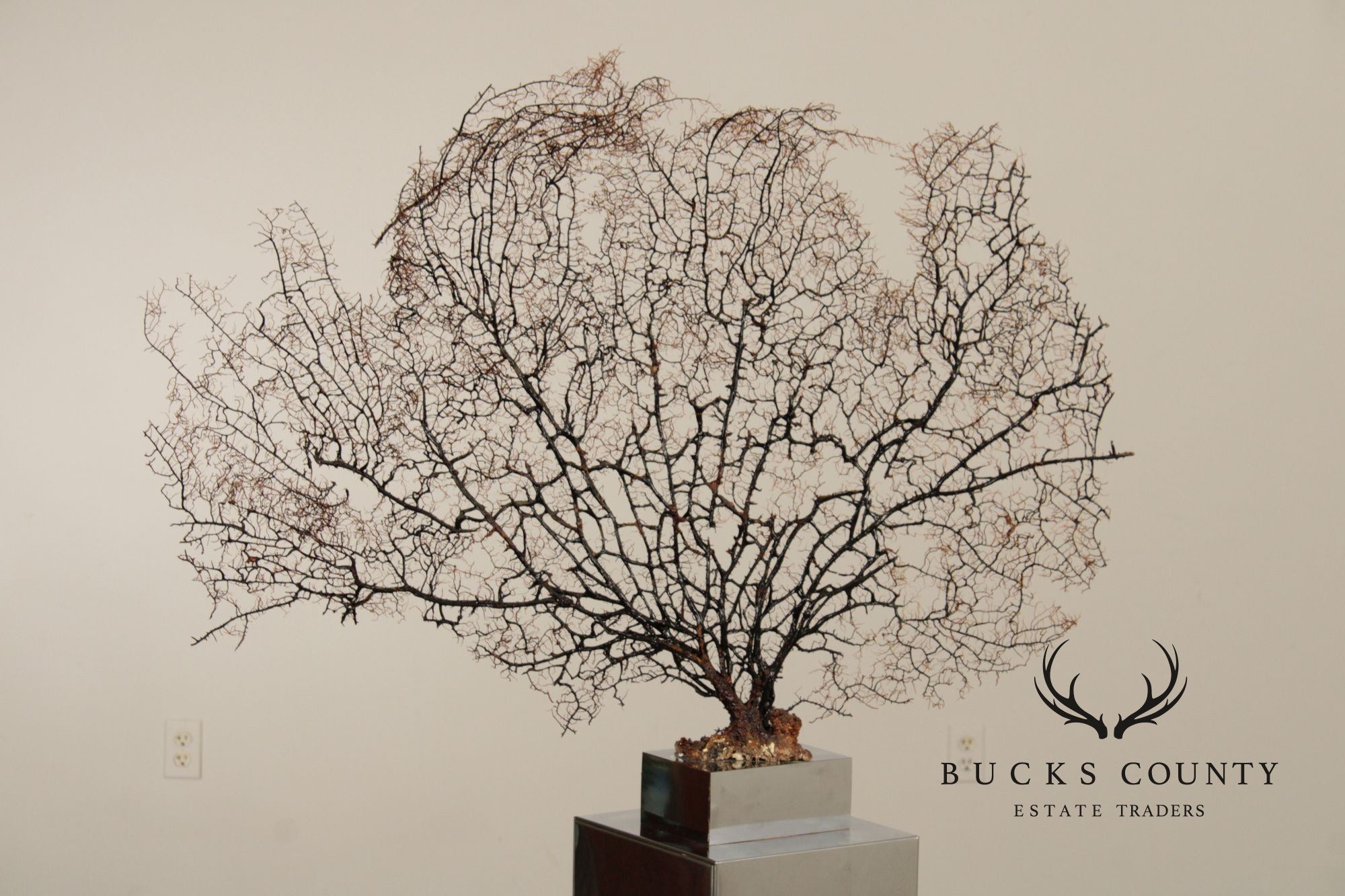 Modern Style Polished Stainless Steel Pedestal With Coral Fan Sculpture