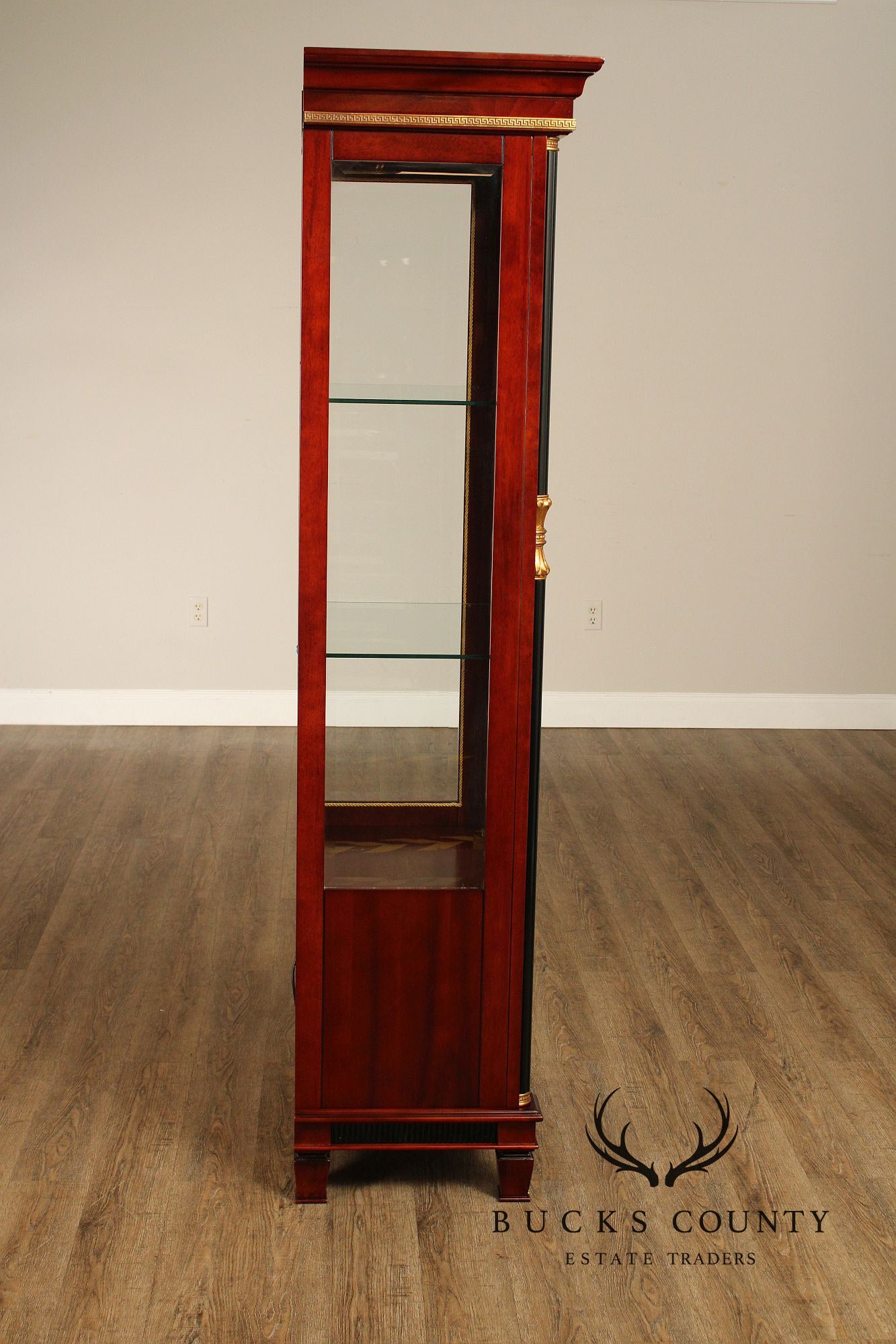 Regency Style Mahogany And Ebonized Pair Of Display Cabinets By Infinity Gigasso