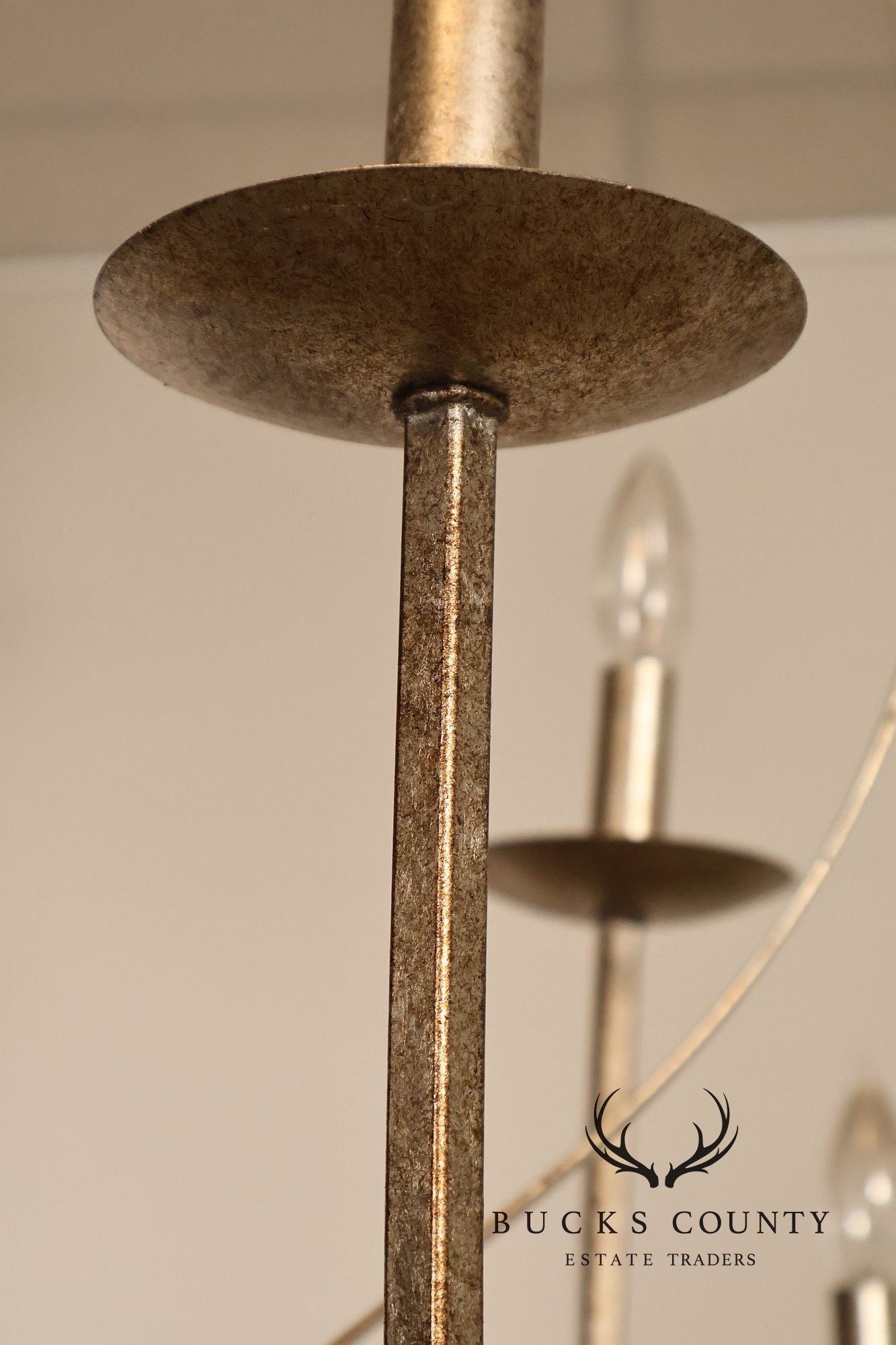 Quoizel 'Serenity' Nine-Light Candelabra Chandelier
