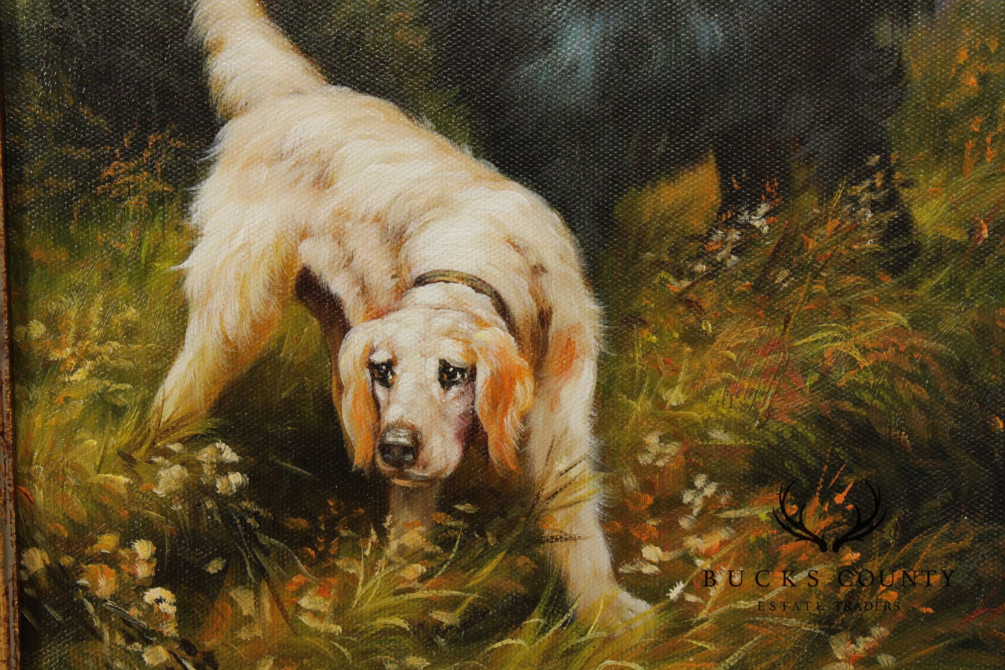 Continental School Framed Setter Painting