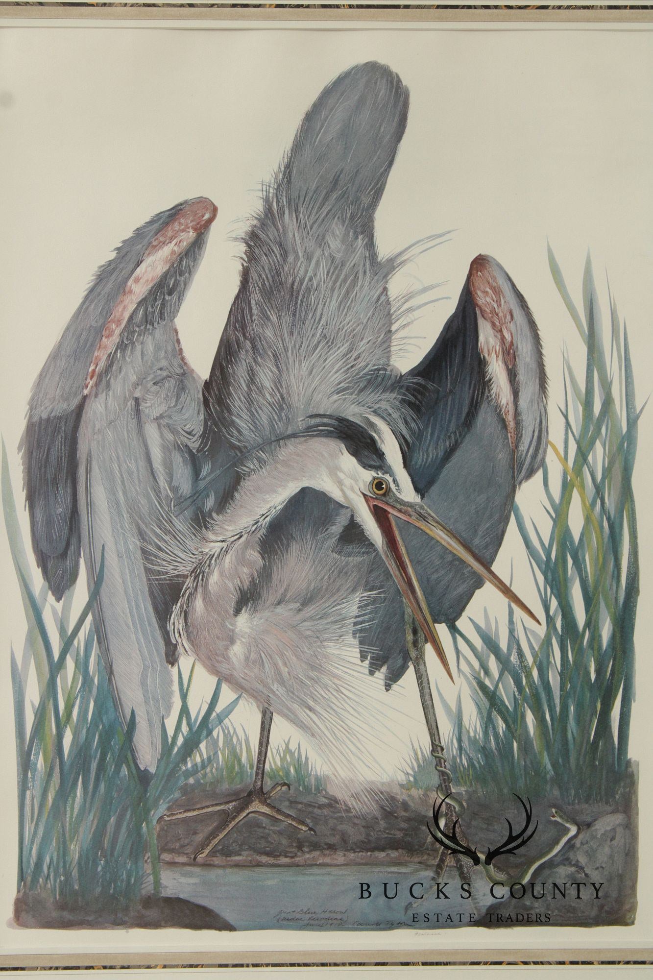 Carroll Tyson, Jr. Offset Lithograph, 'Great Blue Heron'