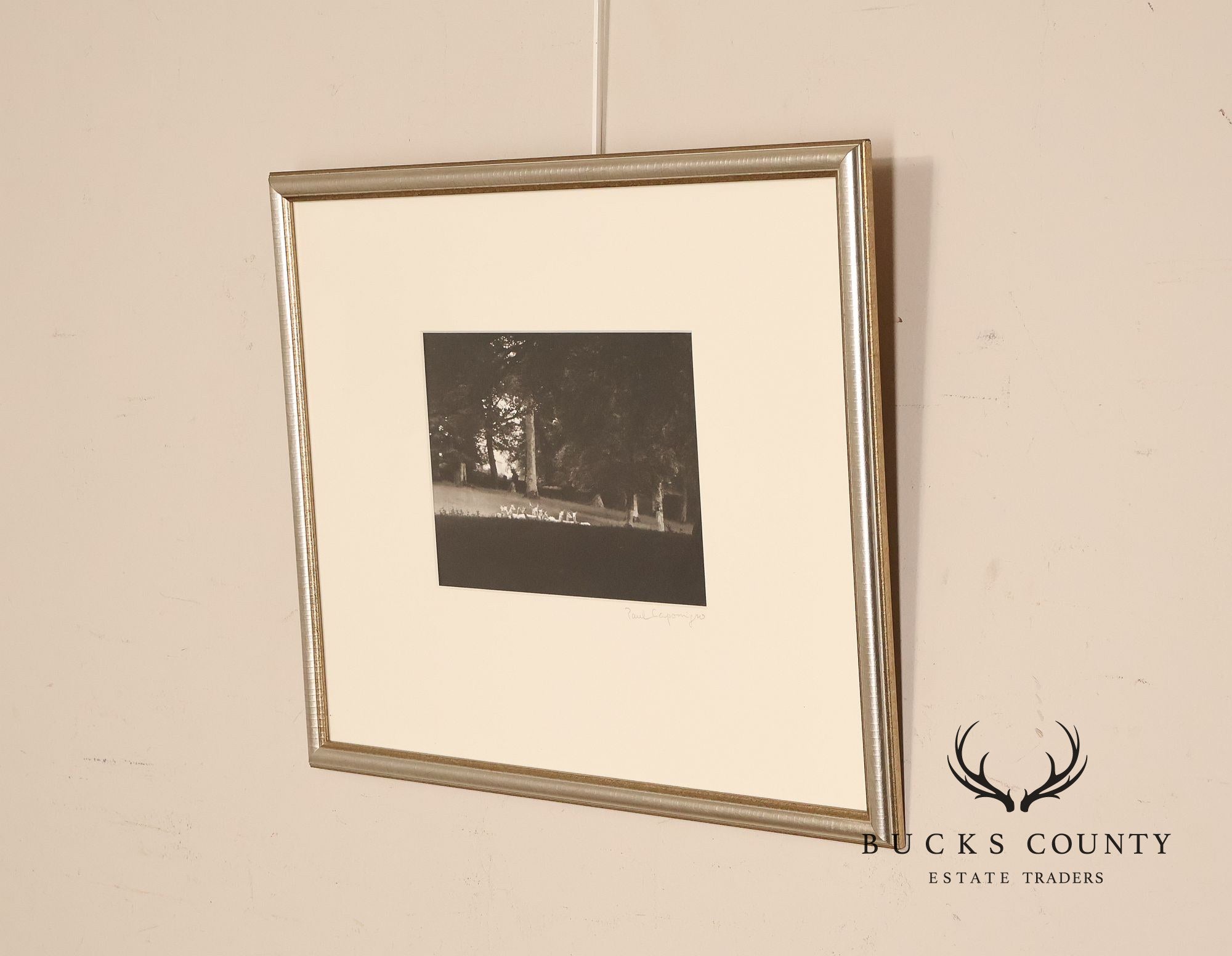 Paul Caponigro Original Print, 'Standing White Deer, County Wicklow, Ireland'