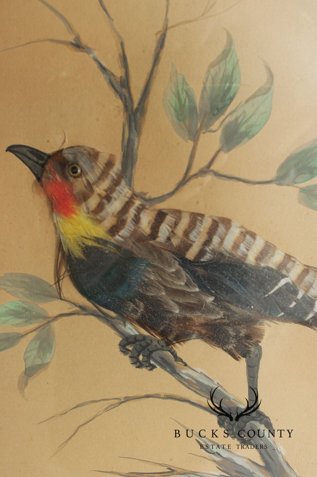 Antique Pair of Feather Art Bird Paintings