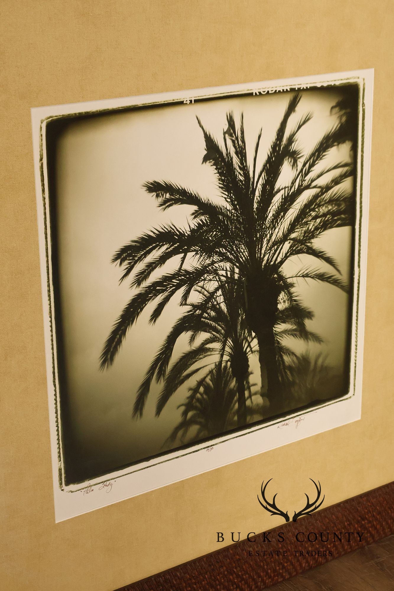 Michael Bryant Pair of Framed Photographs, 'Palm Study'
