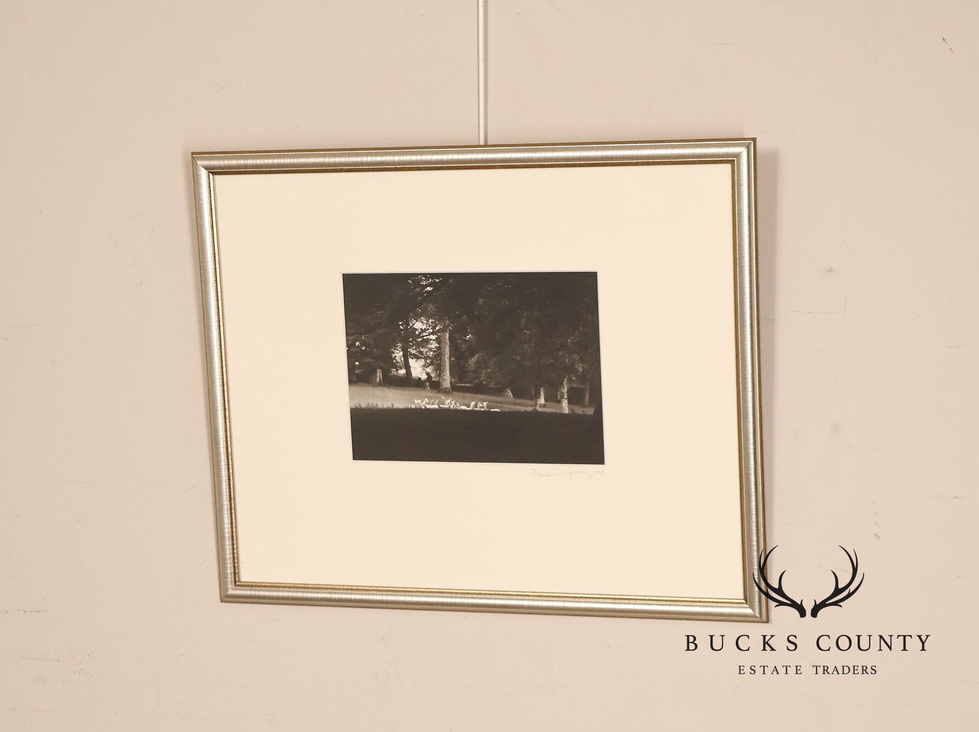 Paul Caponigro Original Print, 'Standing White Deer, County Wicklow, Ireland'