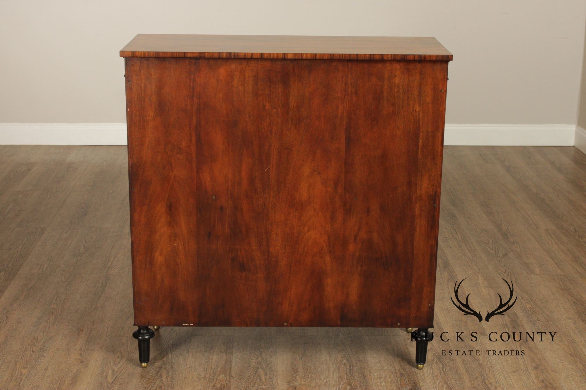 Regency Style Rosewood Mirrored Two Door Cabinet