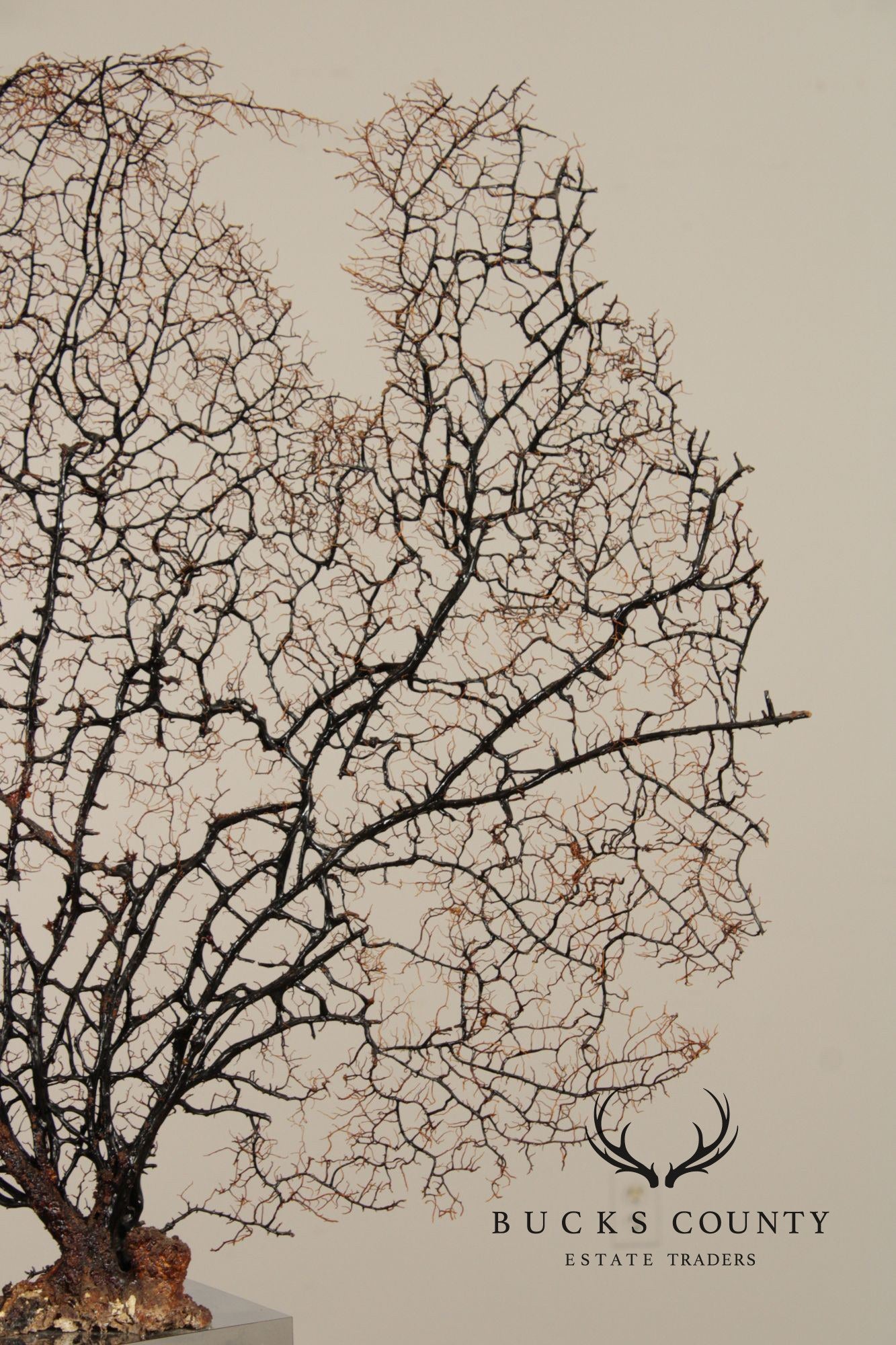 Modern Style Polished Stainless Steel Pedestal With Coral Fan Sculpture