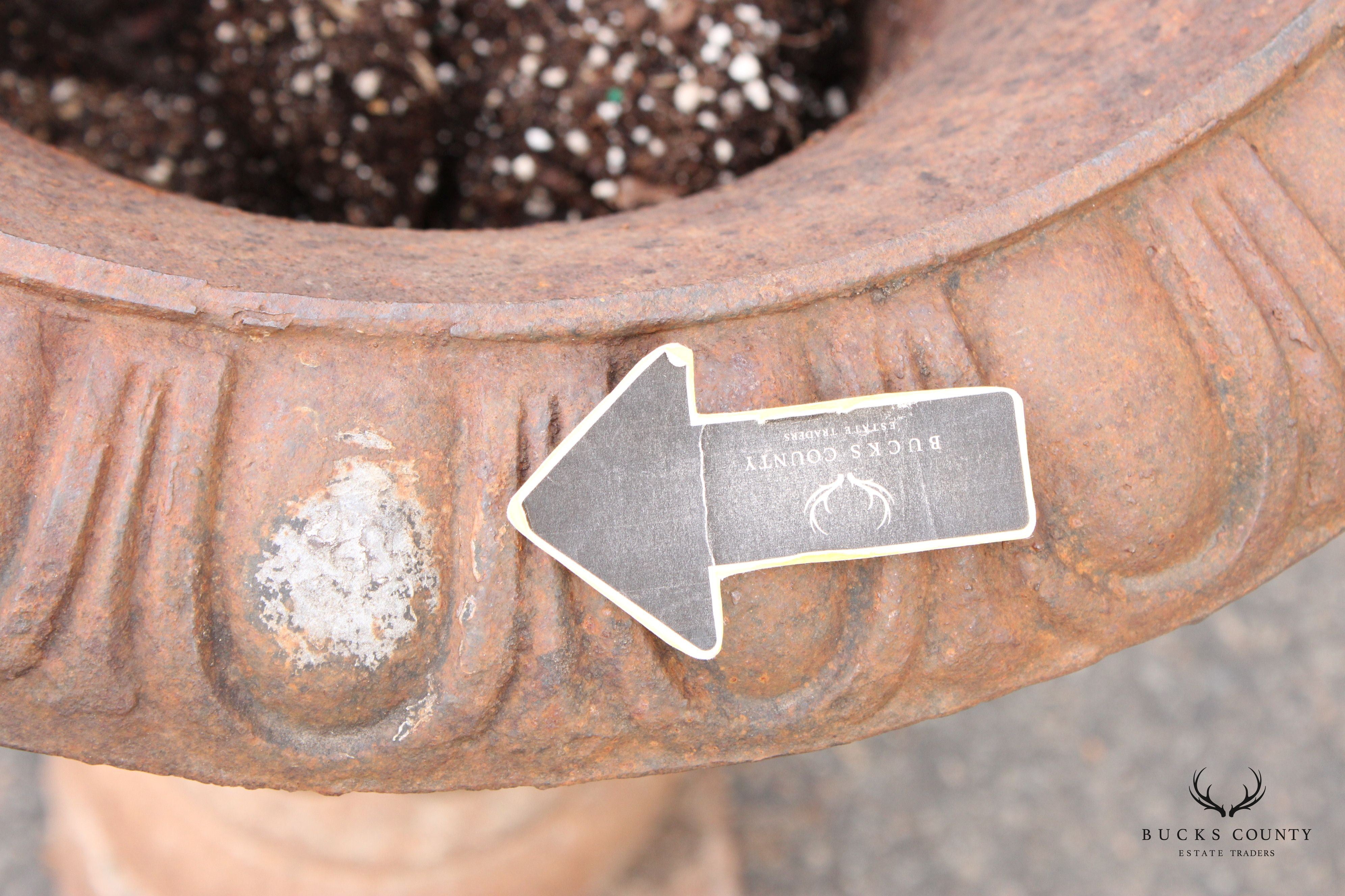 French Style Vintage Pair of Cast Iron Garden Urns