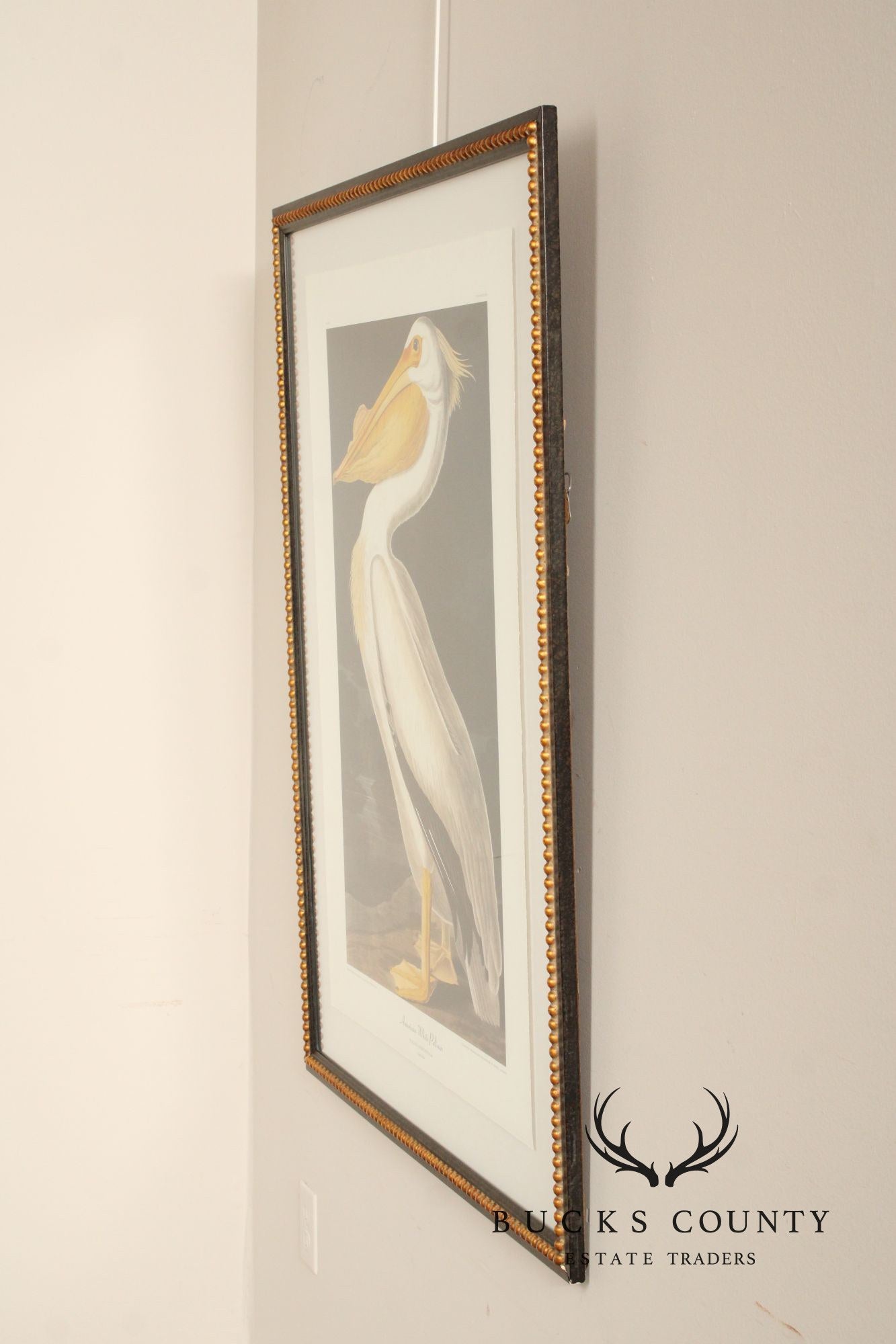John James Audubon Ornithological, 'American White Pelican'