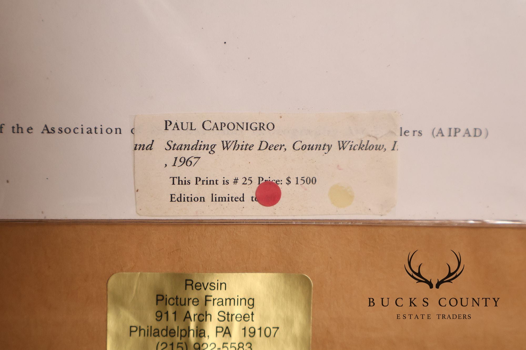Paul Caponigro Original Print, 'Standing White Deer, County Wicklow, Ireland'